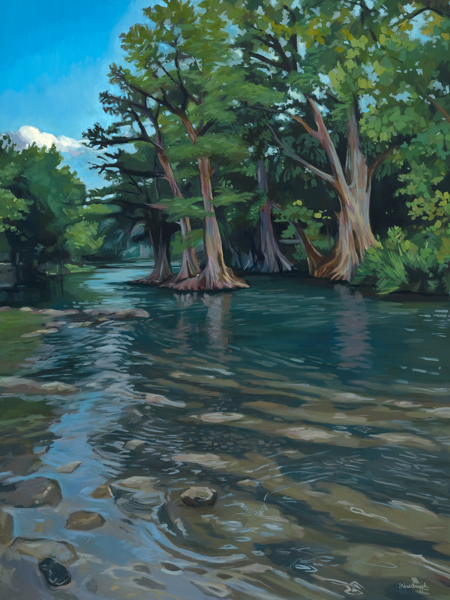 Still Among the Cypress_Preview.png