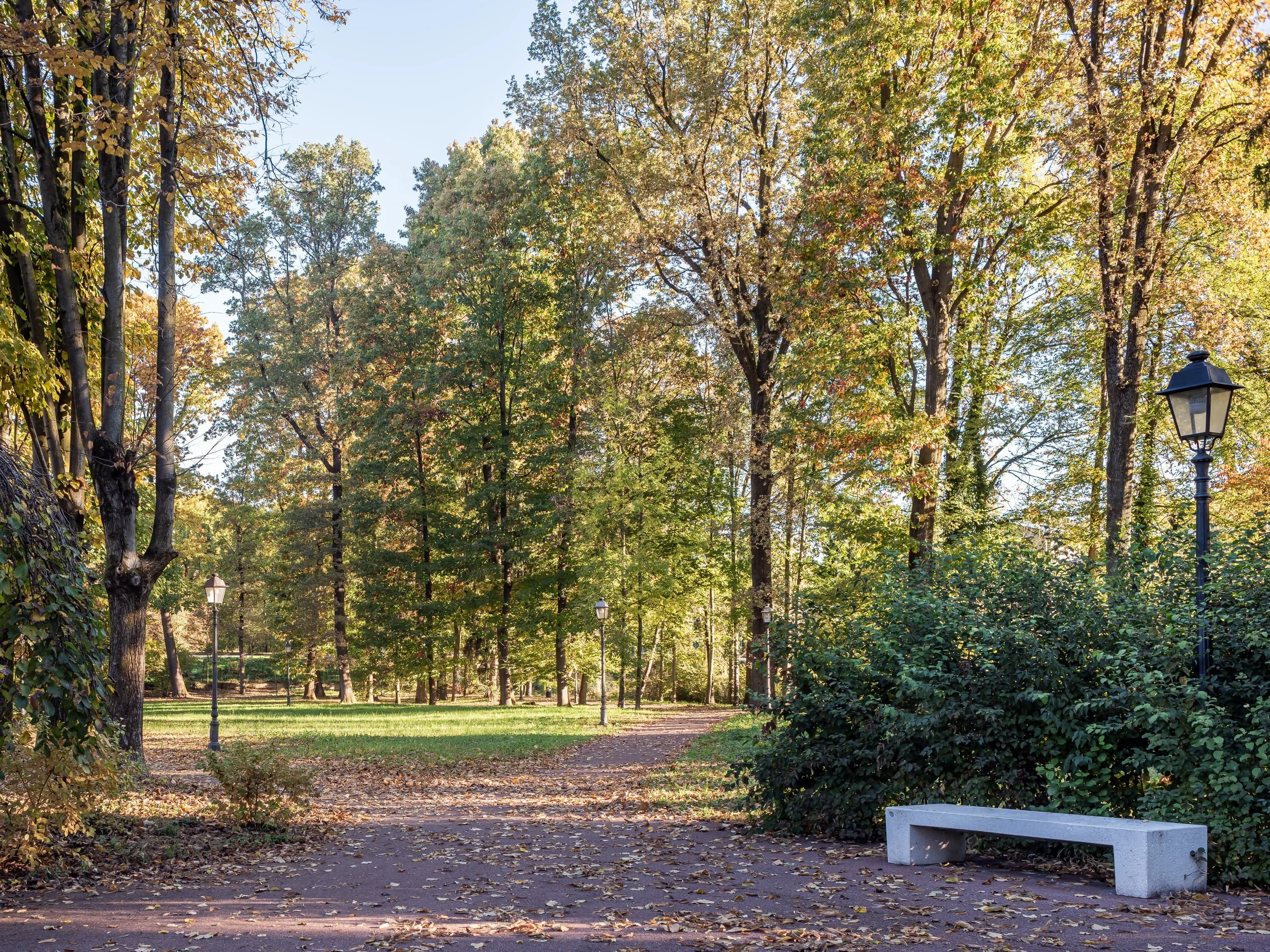 PRR _ Parco MG (11) rs.jpg