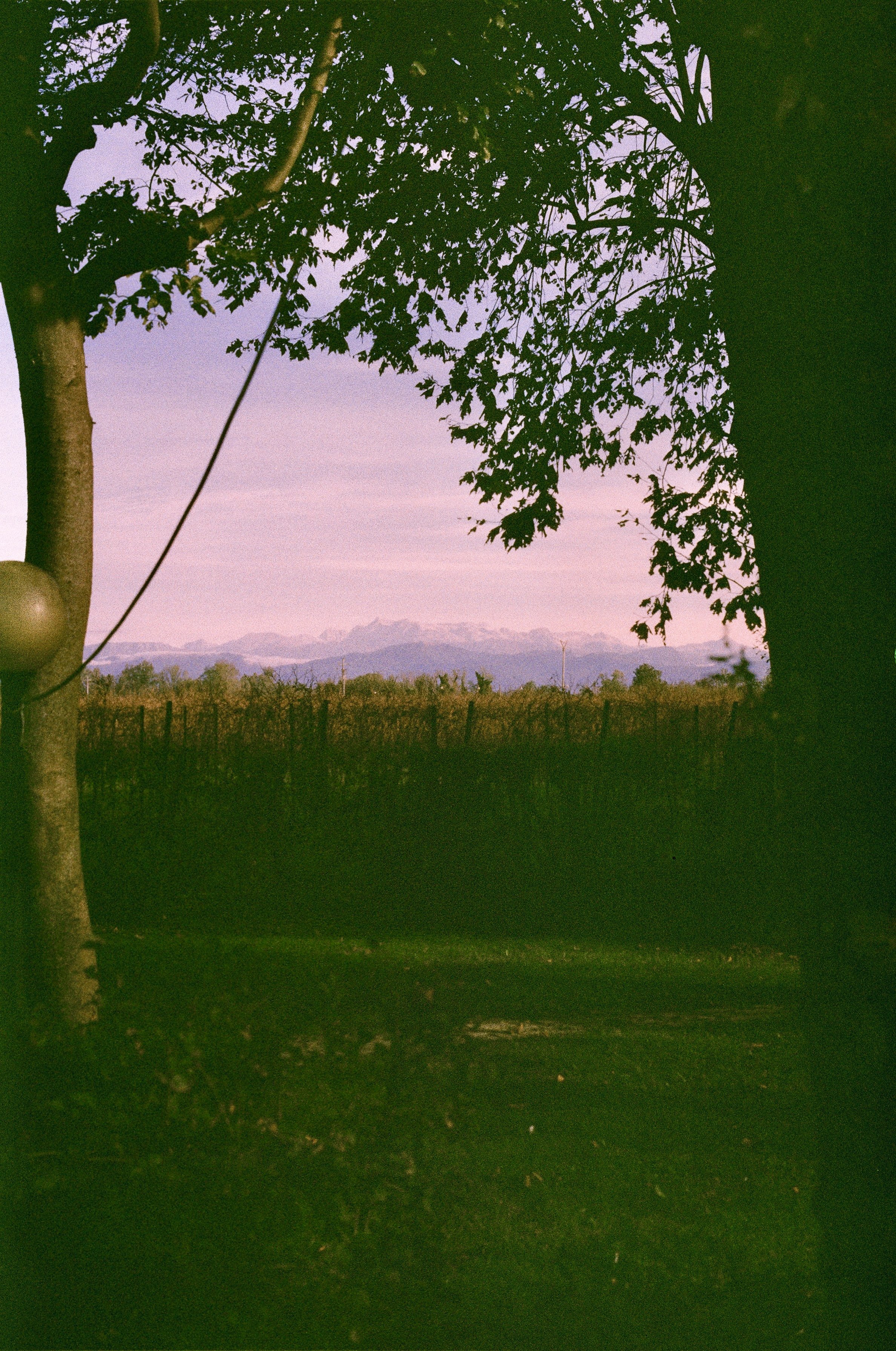 Reflections on Finding Work in Italy as a Non-EU Graduate
