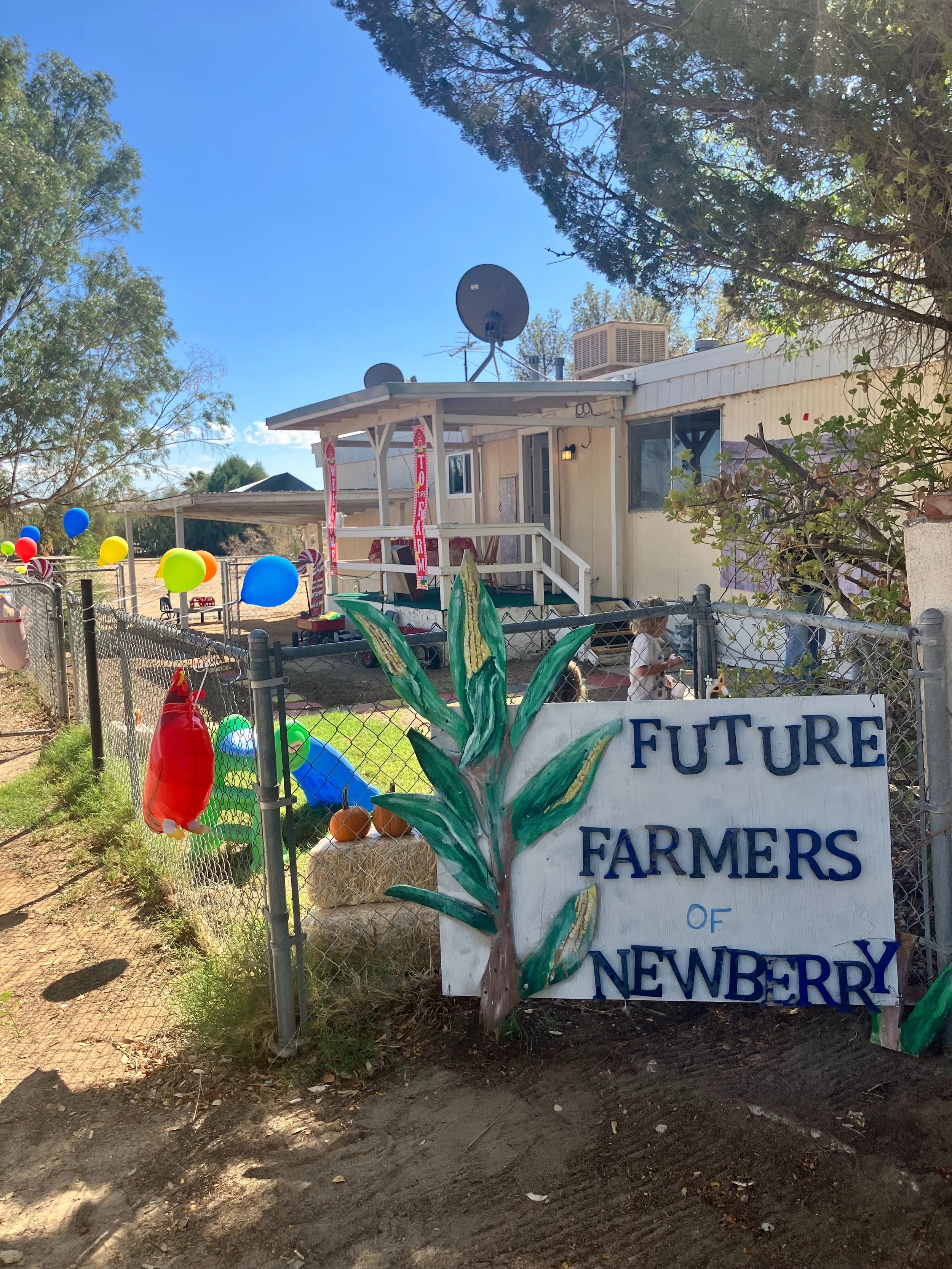 FUTURE FARMERS OF NEWBERRY SPRINGS

Is having their GRAND OPENING of their Toddler Farm today, the 29th, and 30th of September. 

Bring your toddlers to play in the dirt to plant and harvest, water plants, play with toys, and learn.

Parents, you can