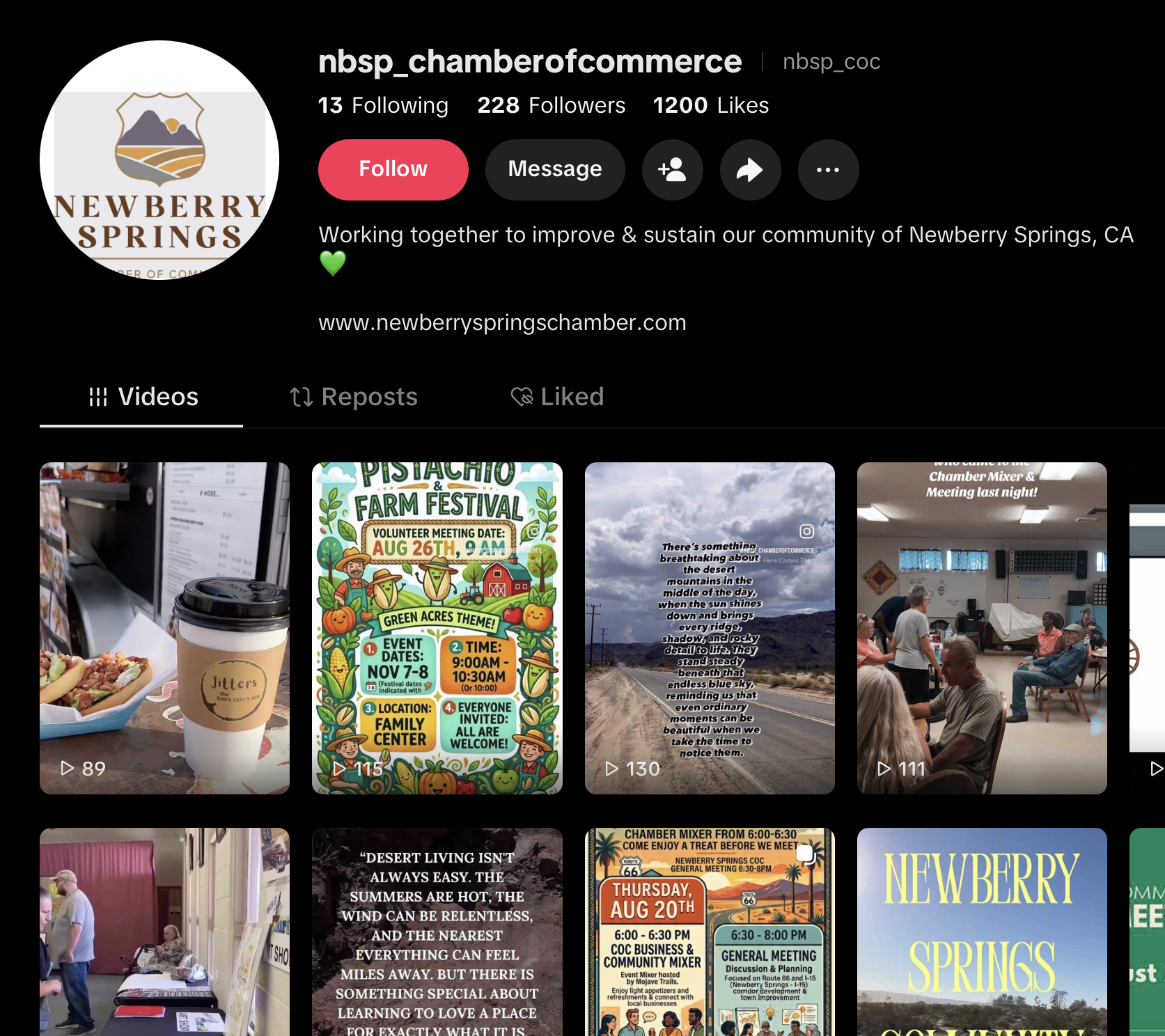 NBSP Chamber TikTok