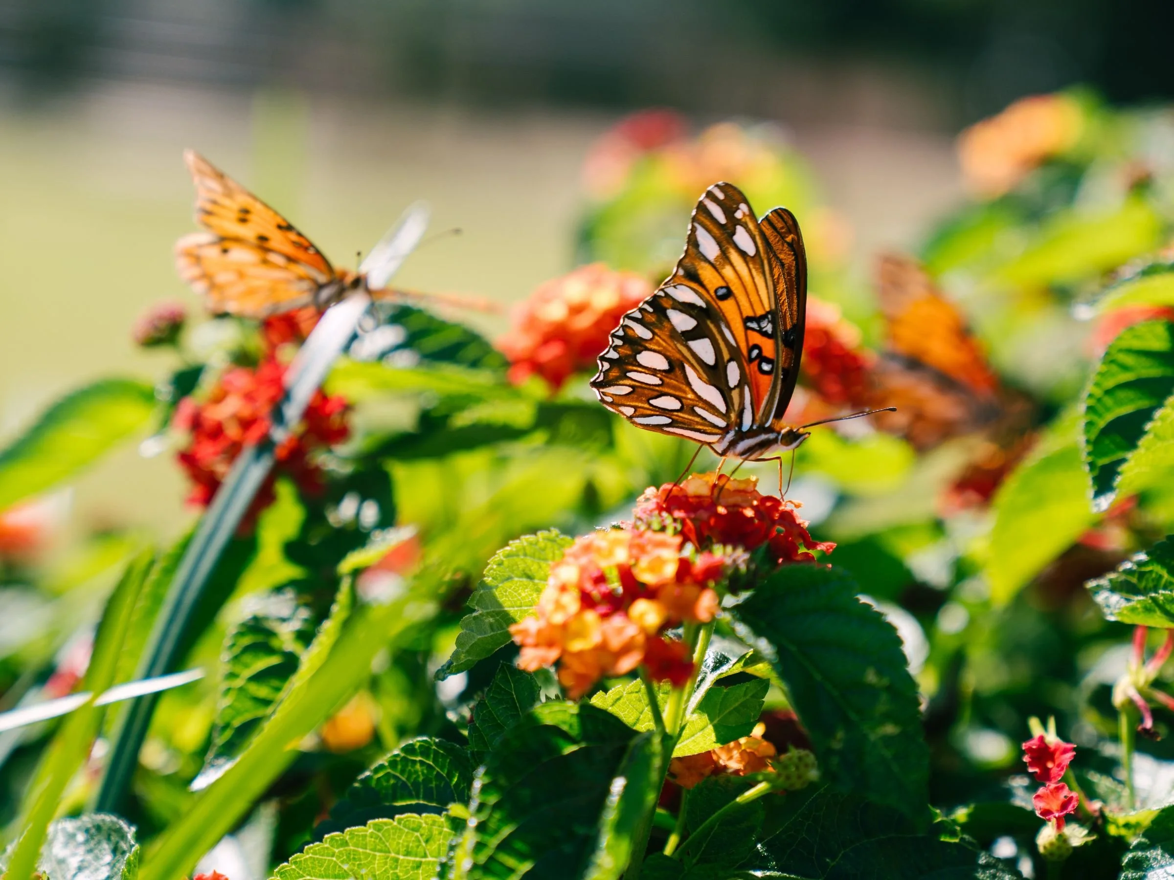 Spring Landscaping Updates Around Point Hope