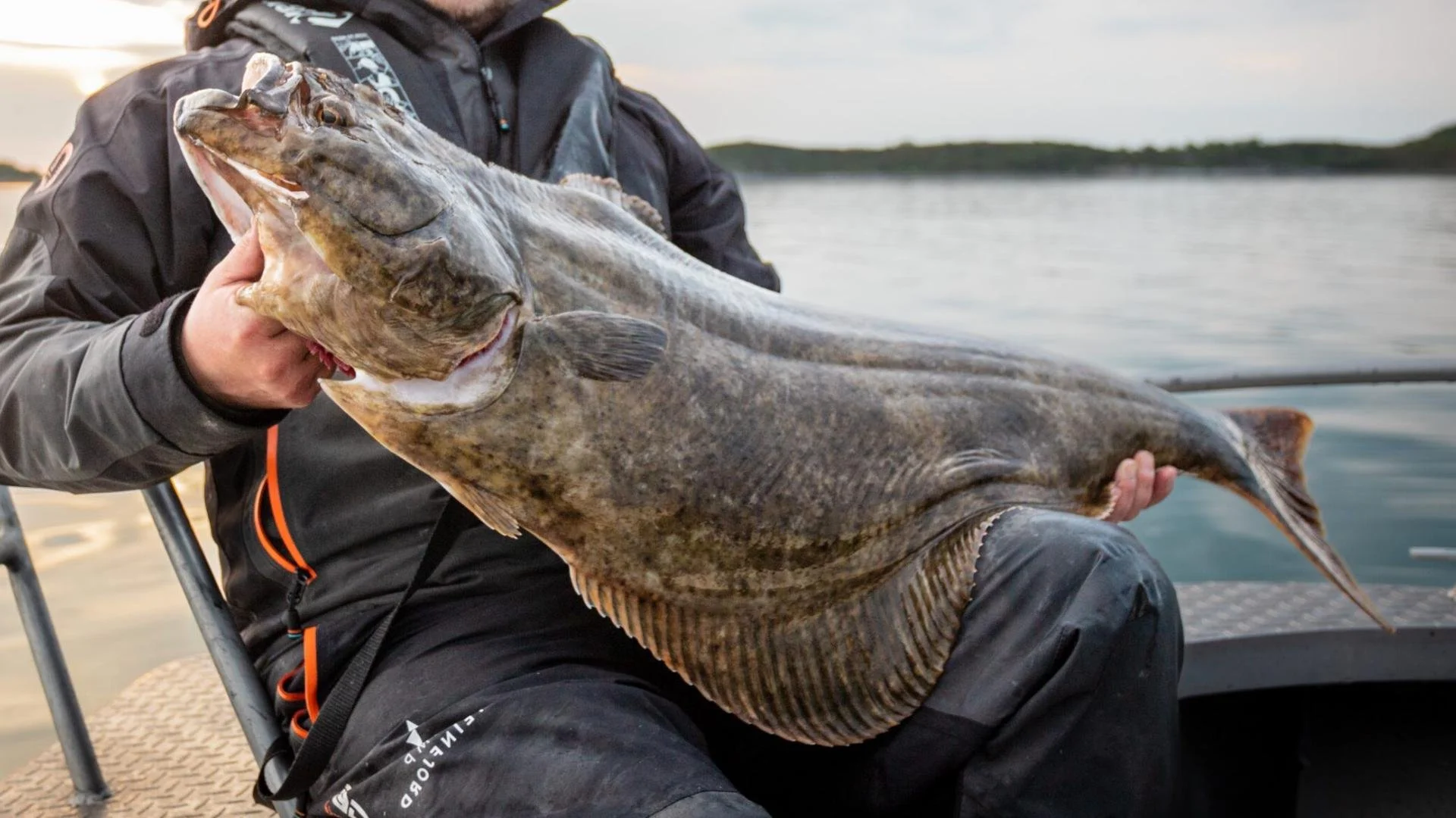 Angeln in Norwegen auf Heilbutt mit einer Angelrute von Jakfisk