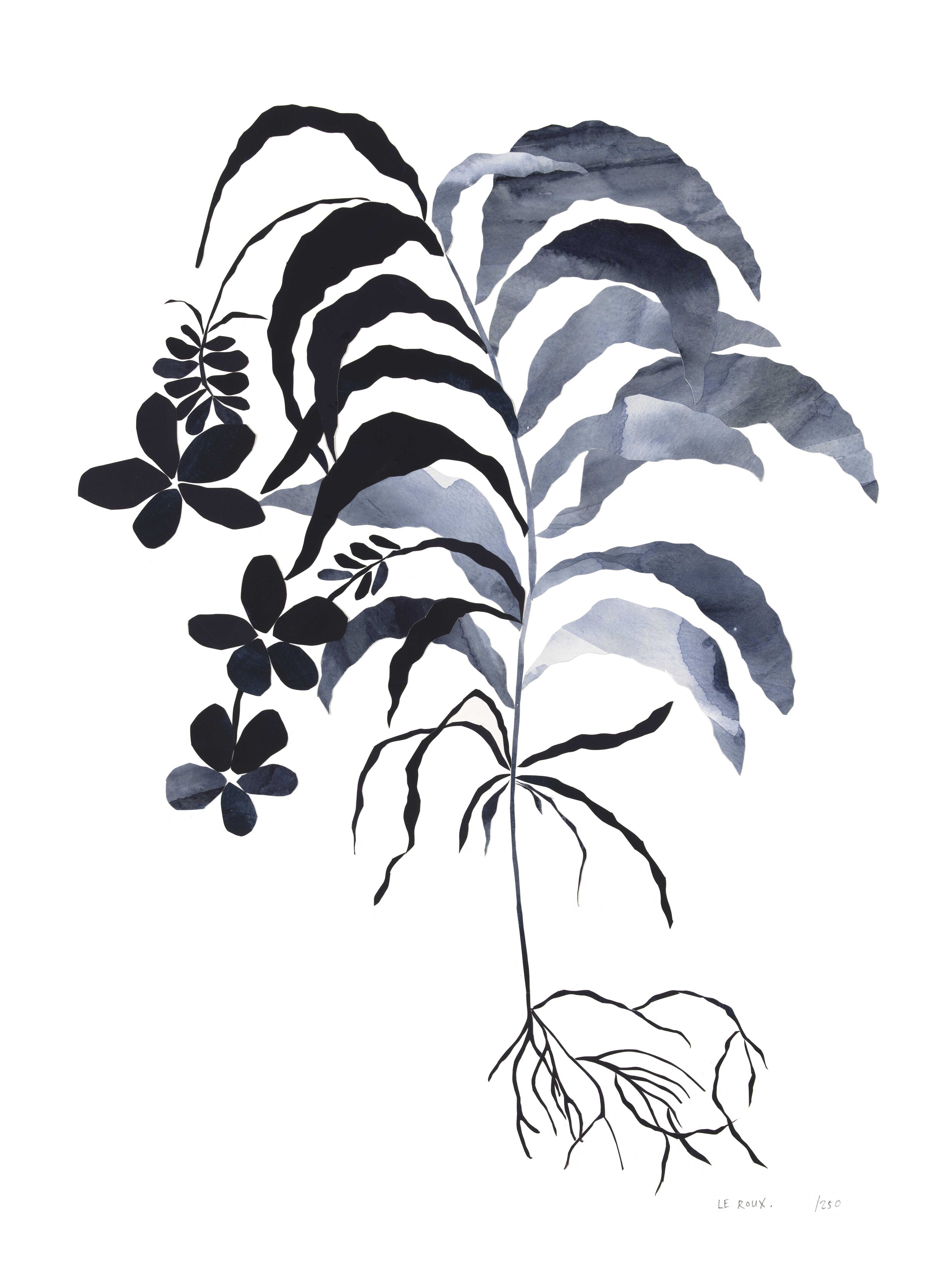 Fynbos I