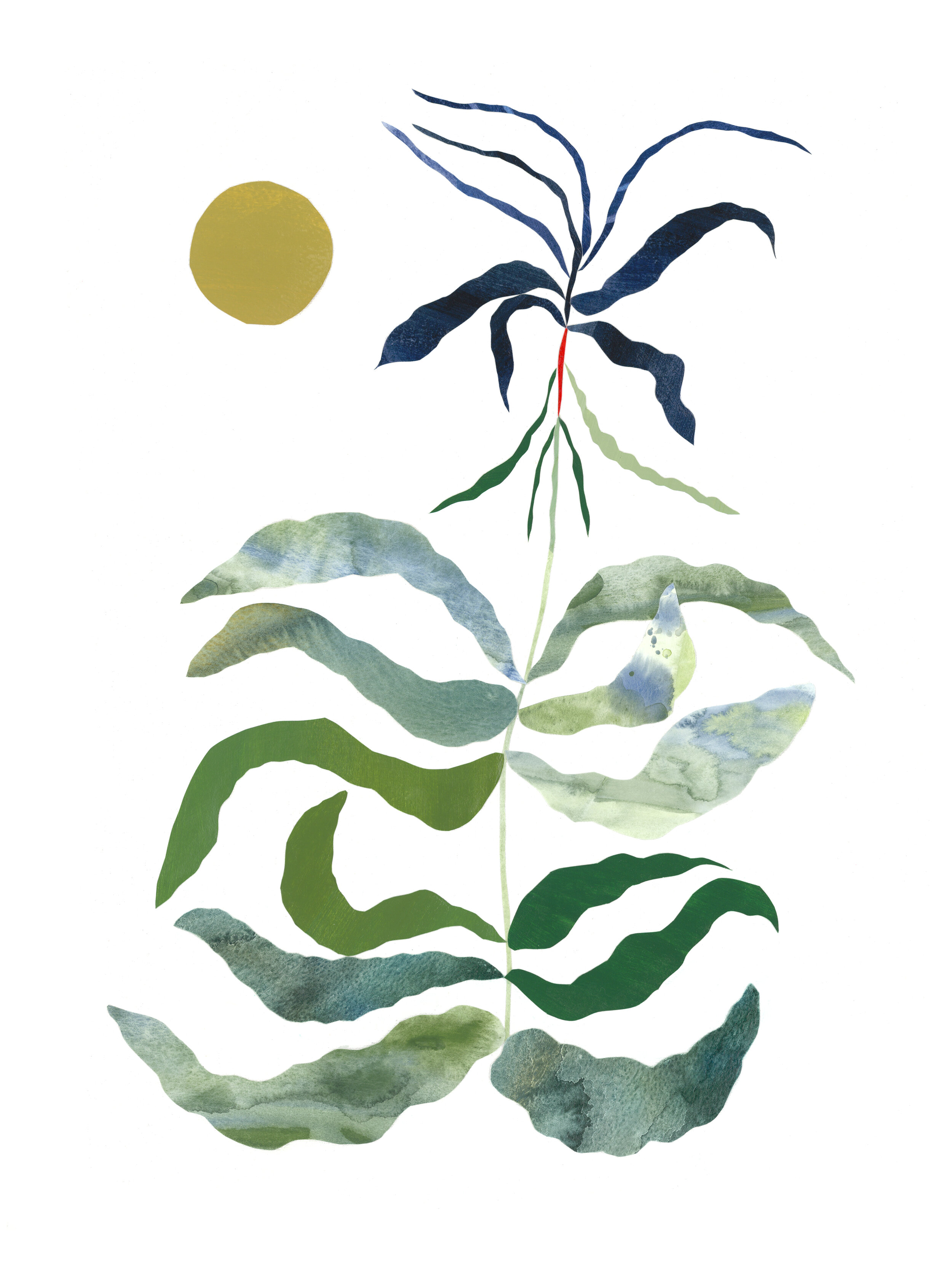 Flora IV