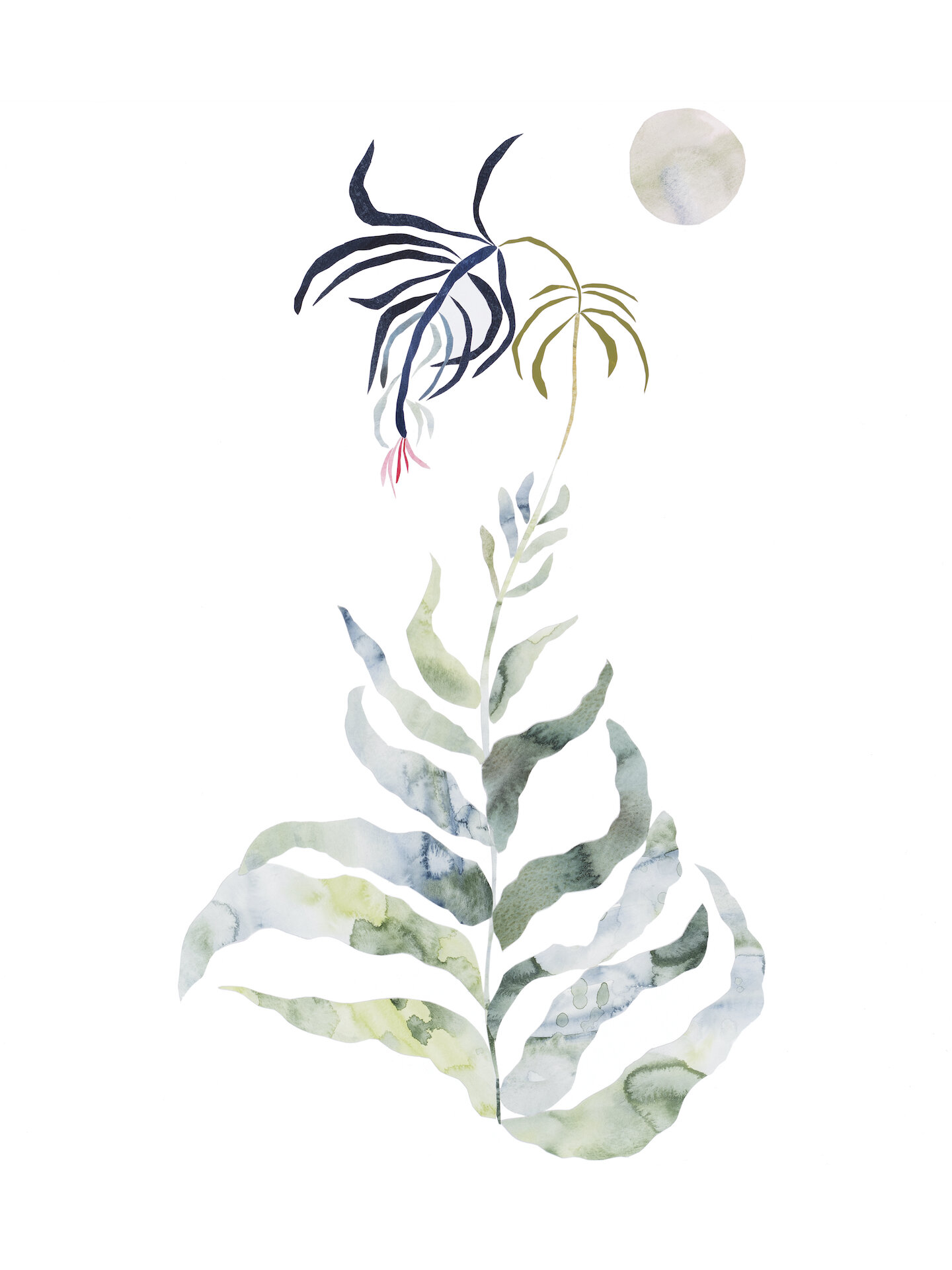 Flora III