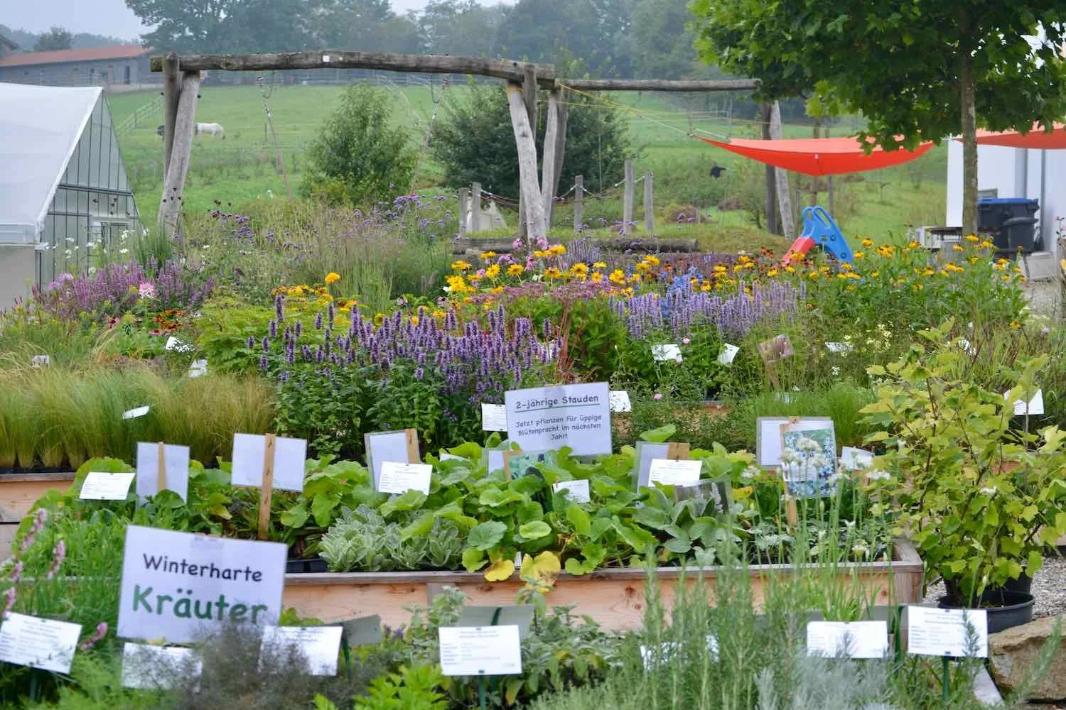 Im Sommer desselben Jahres wirkt bereits alles viel üppiger.