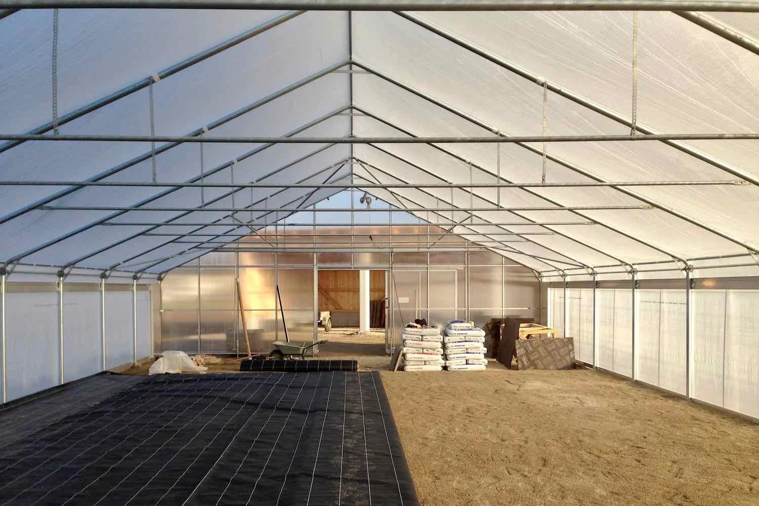 So ein schöner Teppich...