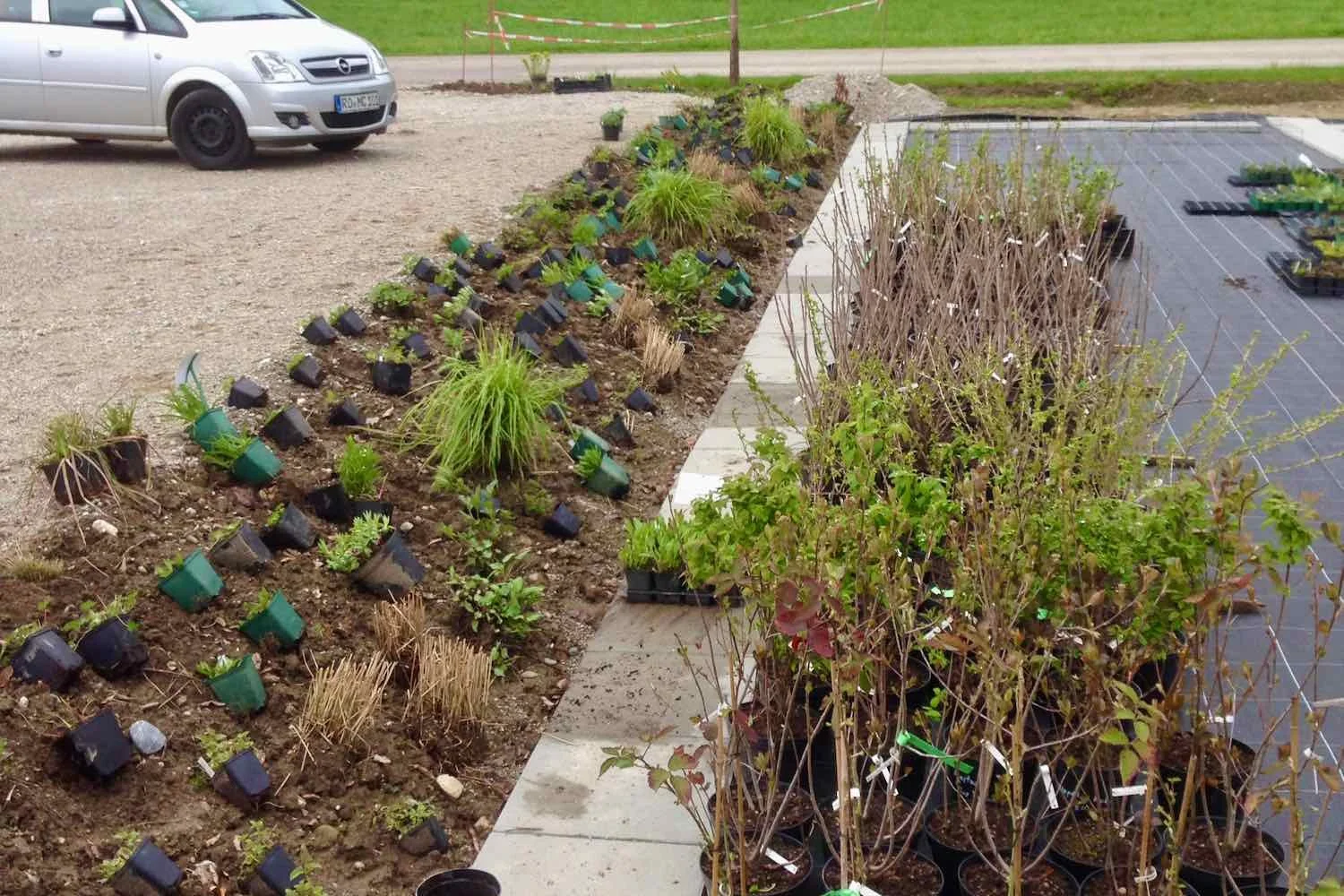 Die Parkplatzböschung wird im April 2016 bepflanzt.