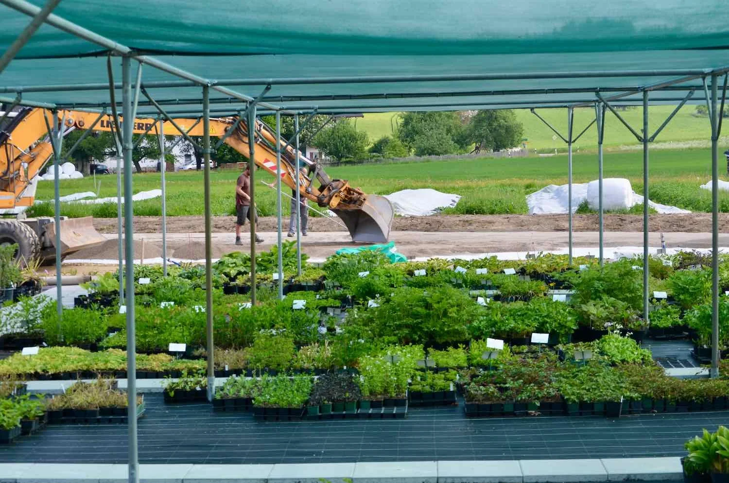 Eine Schattenhalle schützt die sonnenempfindlichen Stauden.