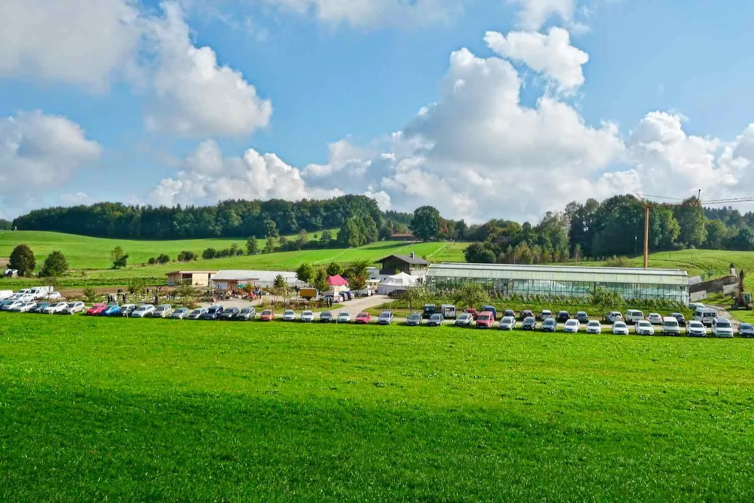 Wir freuen uns sehr, dass unsere Gärtnerei von Anfang an großen Zulauf erfährt.