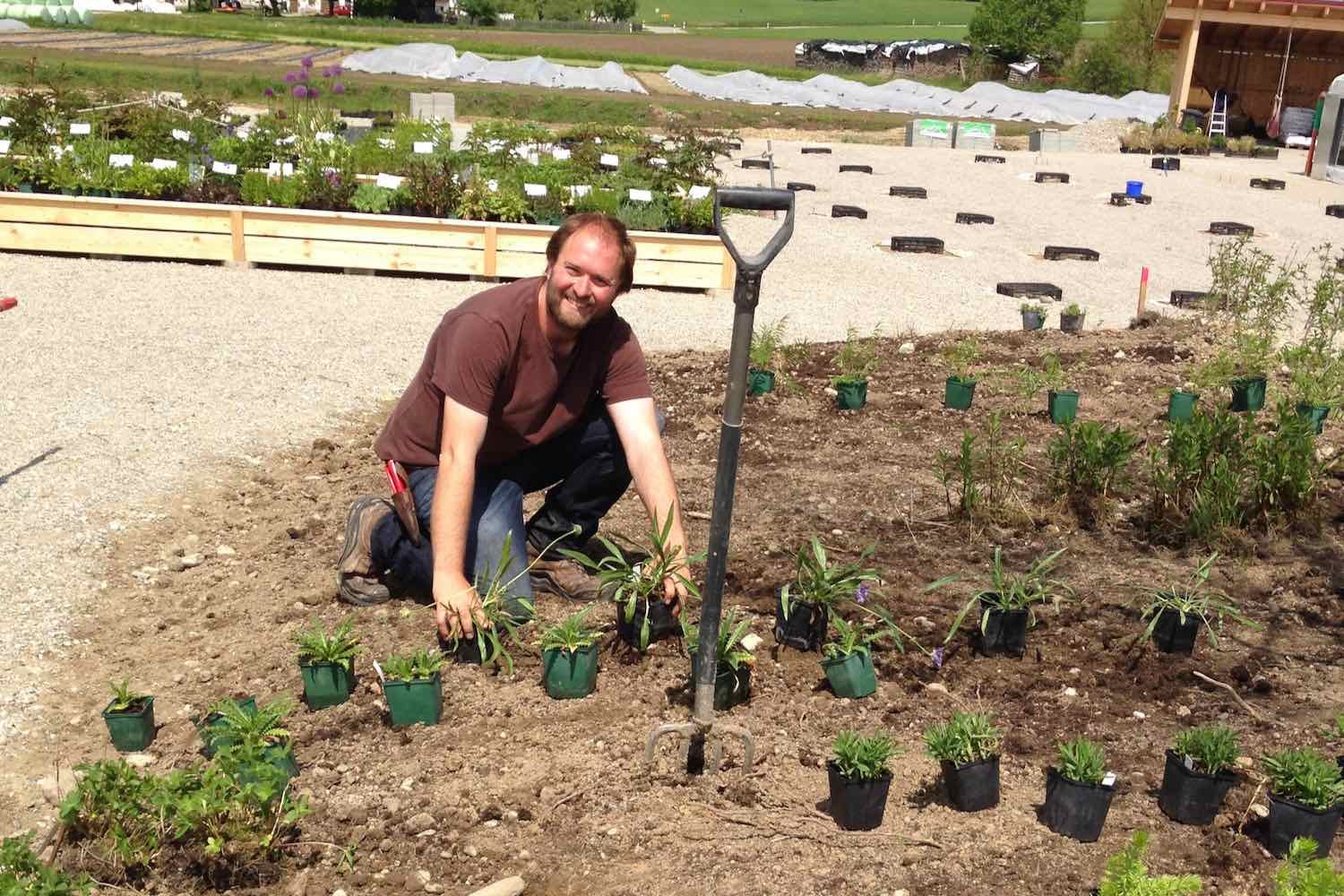 Die Bepflanzung des Schaubeets im Verkaufsbereich...