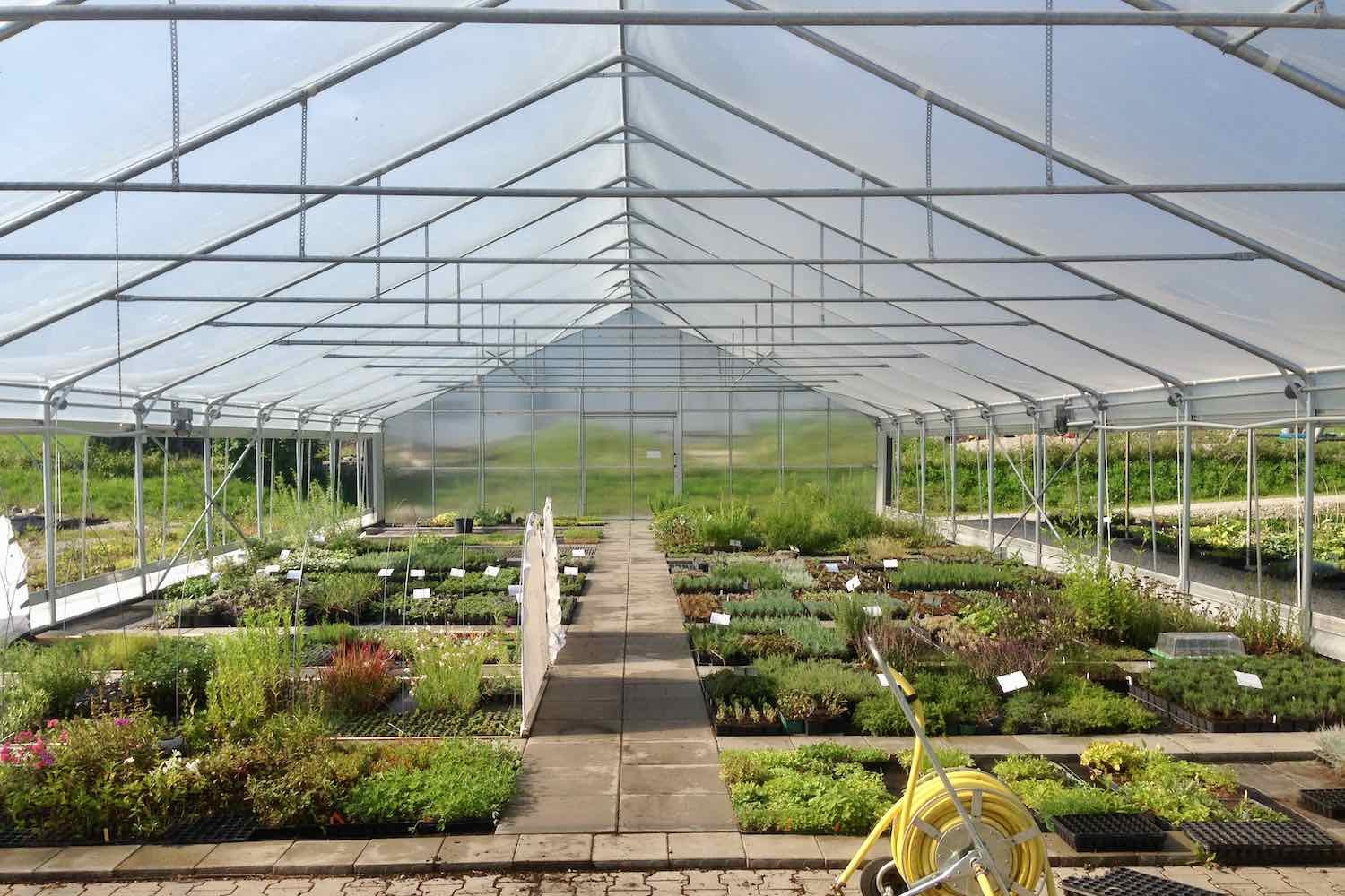 Kurze Zeit später sieht das Innenleben dann so aus.