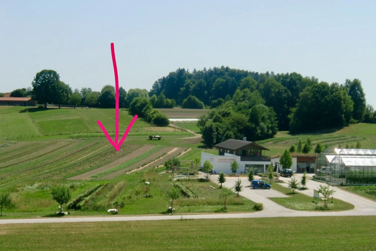 Die Staudengärtnerei wird direkt an den Laden im Thal mitsamt  der Gemüsegärtnerei anschließen.