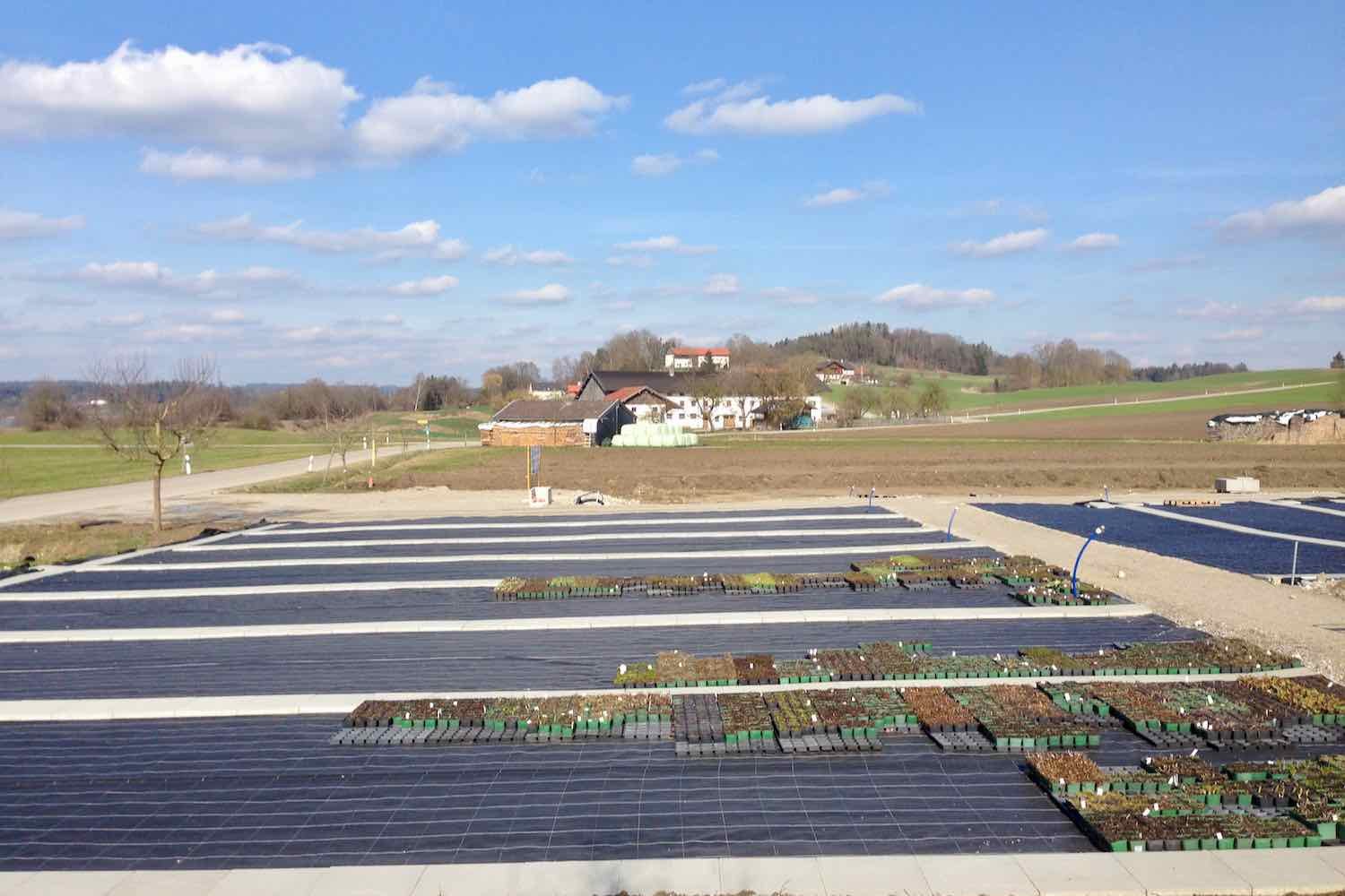 Später kommt wasserdurchlässiges Bändchengewebe drüber und Plattenwege werden gelegt.