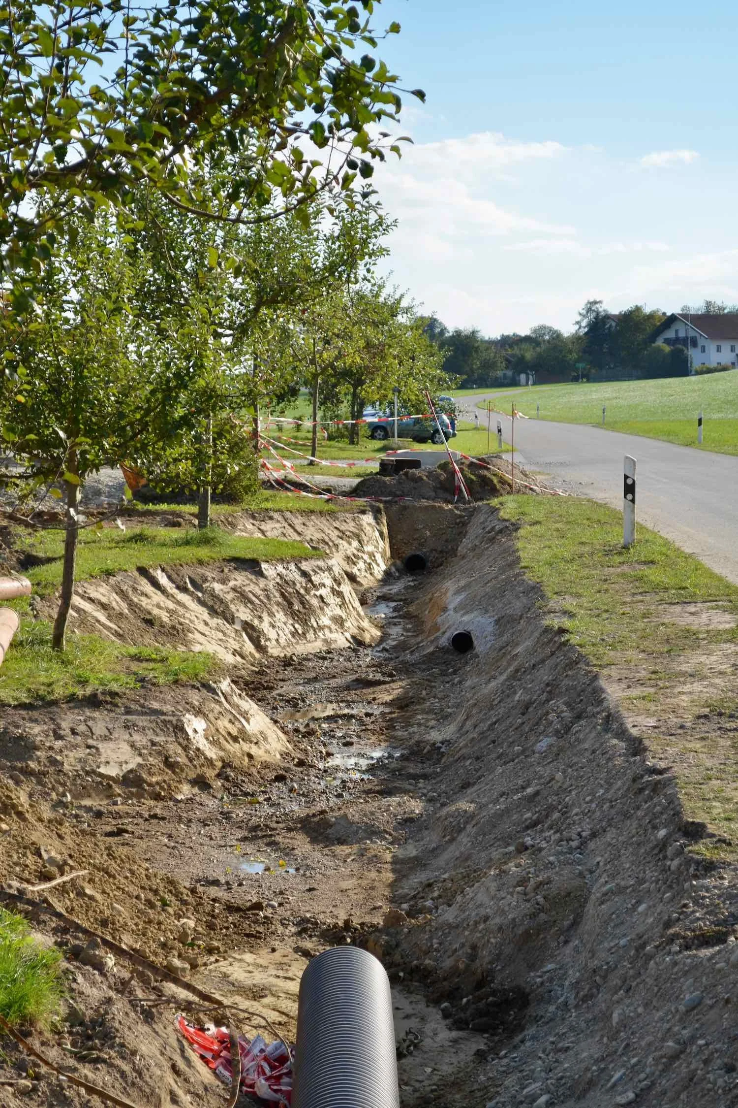 Beim Ziehen der Entwässerungsgräben haben wir versucht, die bestehenden Apfelbäume zu erhalten. Es hat größtenteils geklappt.