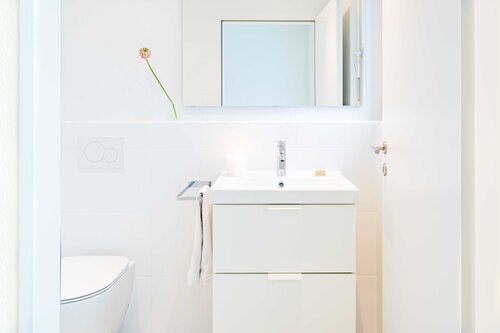 tips for maximizing a small bathroom - mirrored medicine cabinets