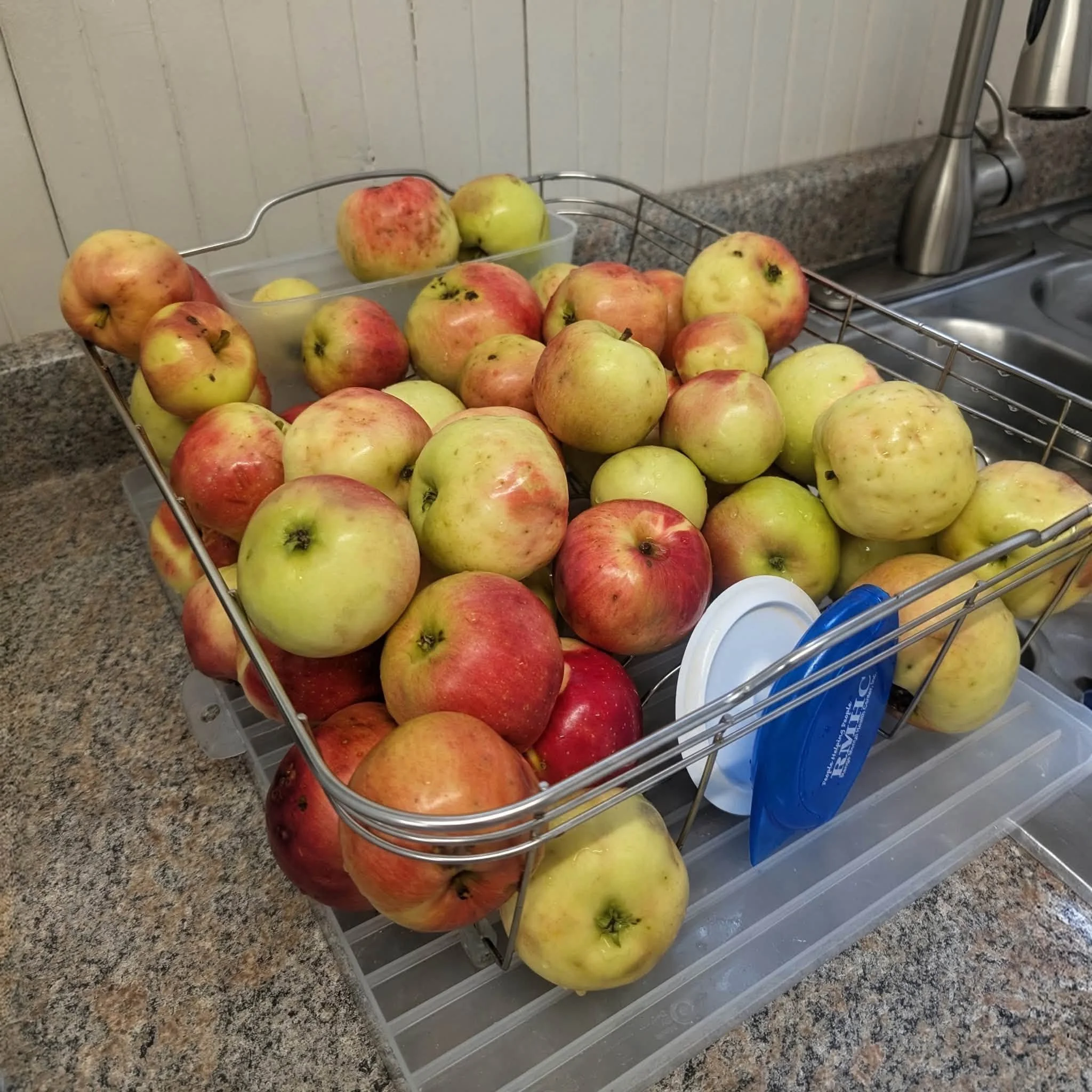Fresh picked apples for freshly made apple butter!