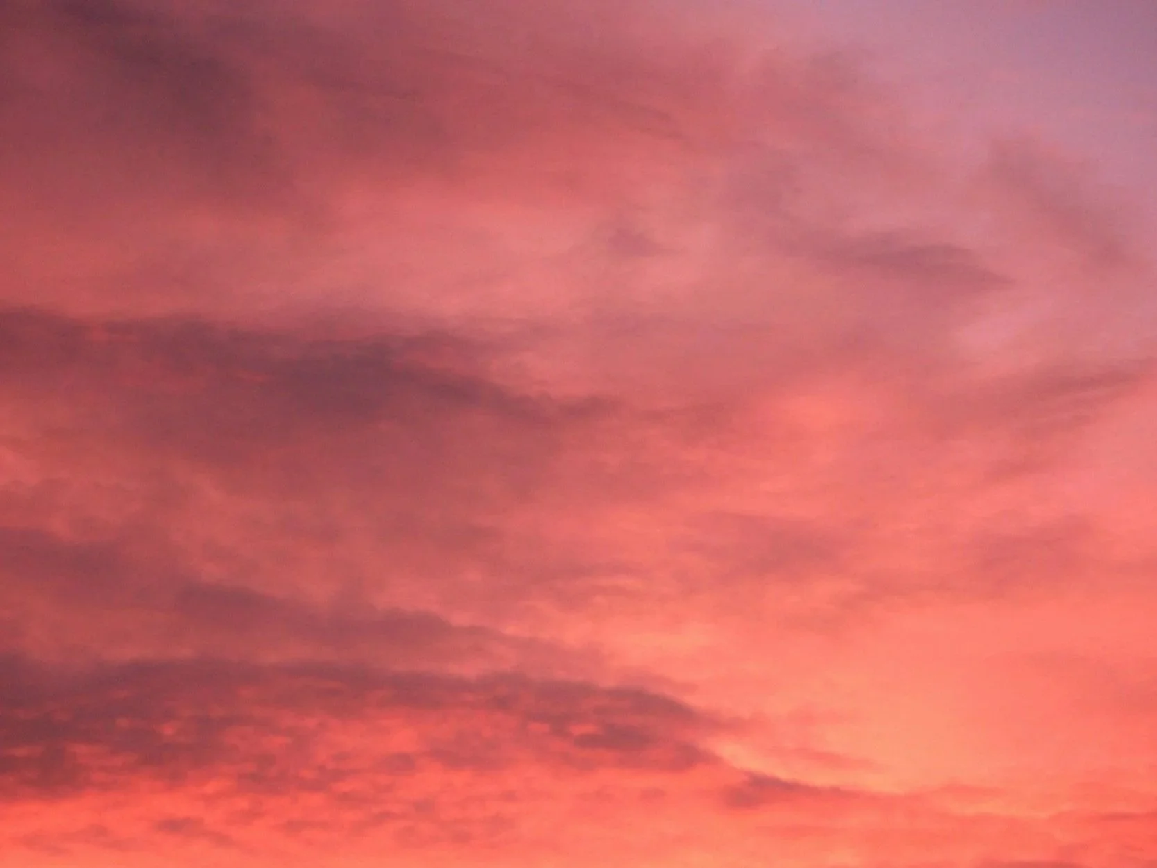 dawn