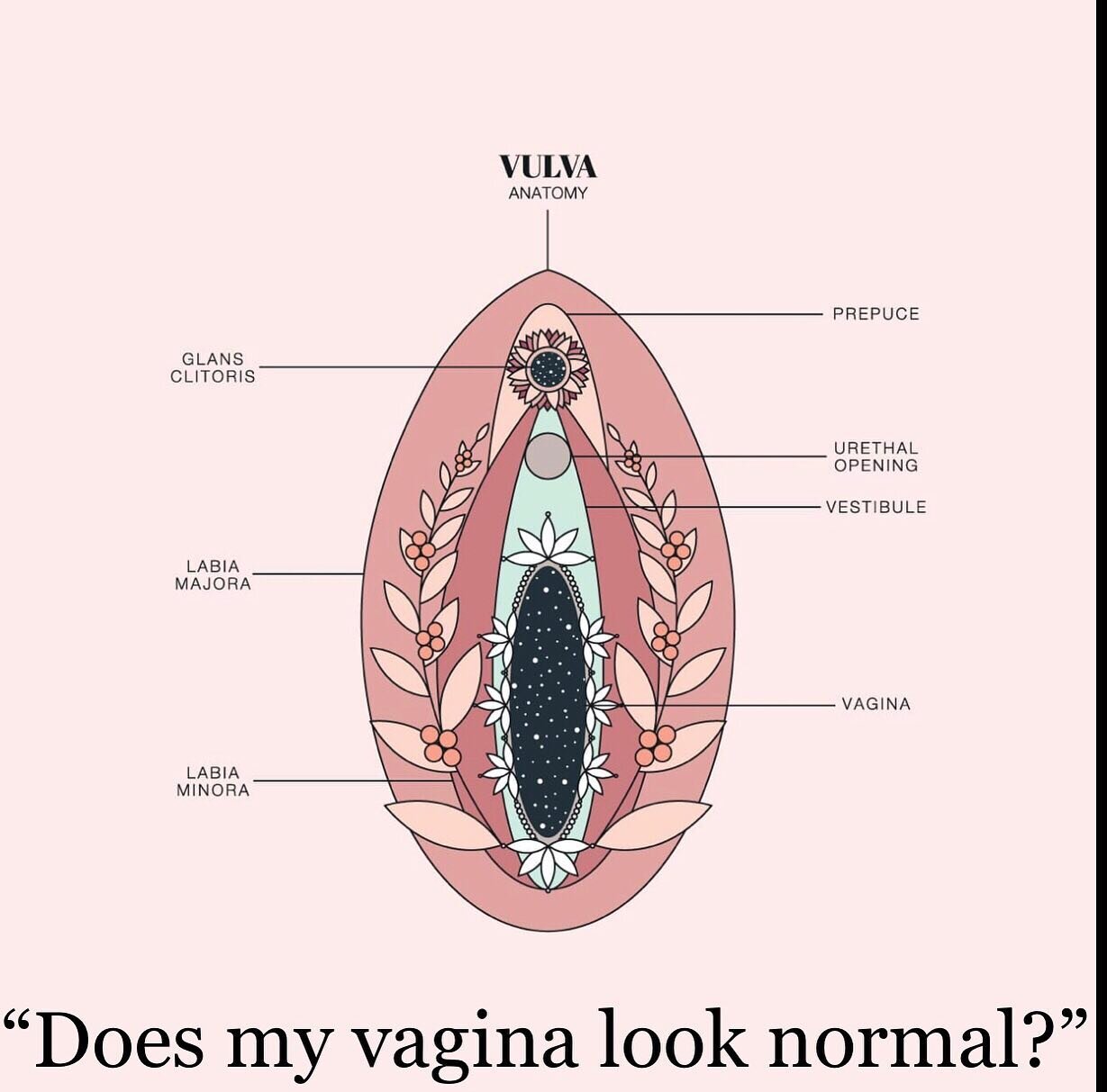 One of the most common questions I receive- but what is &ldquo;normal&rdquo; anyway?

The external genitalia is actually called the vulva, and includes the urethra, clitoris, labia and introitus (opening to the vaginal canal). Vulvas come in all diff