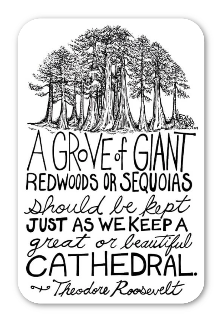 Redwood Trees Eco-Friendly Sticker By Artist Rick Frausto