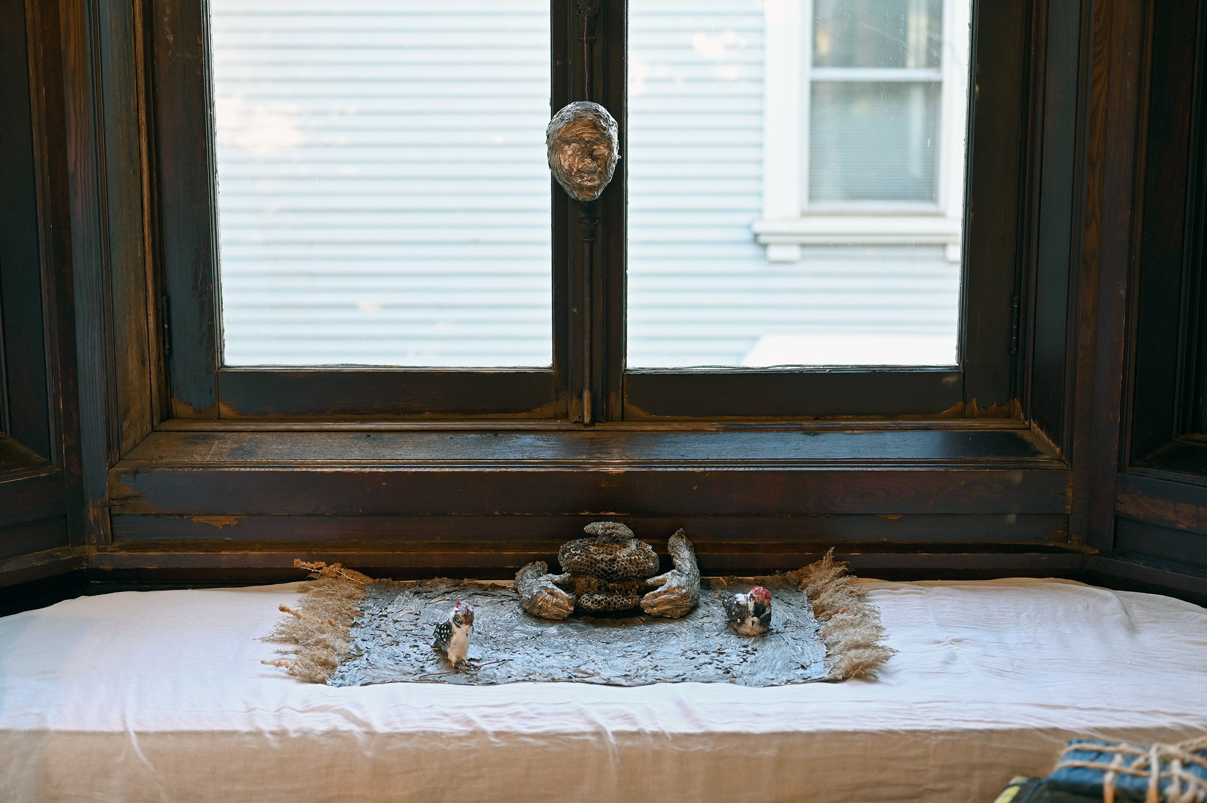  Emily Teall “‘You Wanted Me to Tame You'-the Little Prince”, 2022 Wasp nests, clay, seeds on fabric.   