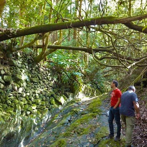 Life IP CLIMAZ deu início à preparação dos trabalhos de intervenção e desobstrução de várias ribeiras dos Açores