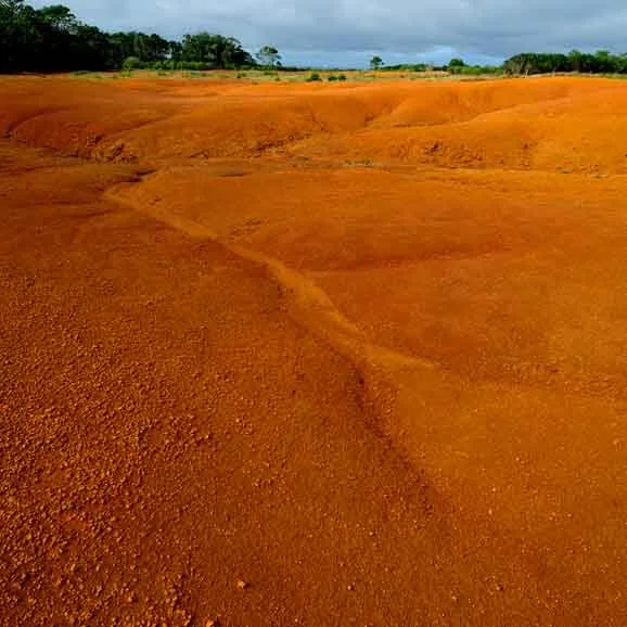 Dia Mundial do Combate à Seca e à Desertificação