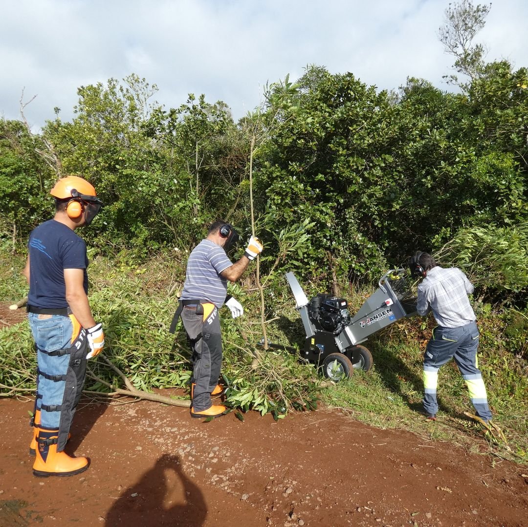 Remoção da flora invasora e reutilização de biomassa