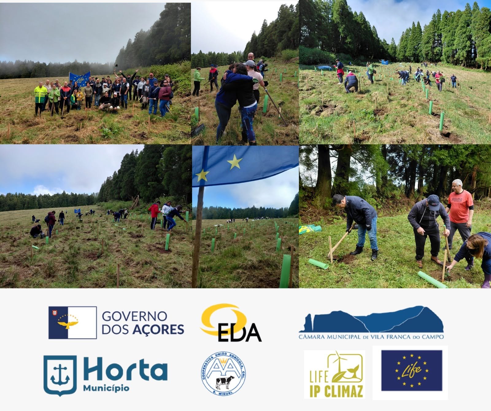 LIFE IP CLIMAZ celebra o dia Mundial da Terra com uma ação de voluntariado pela floresta