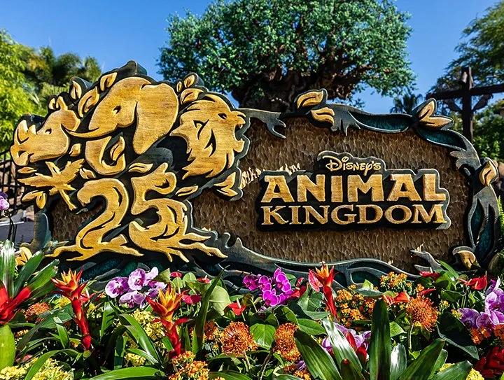 ANIMAL KINGDOM 25 YEARS