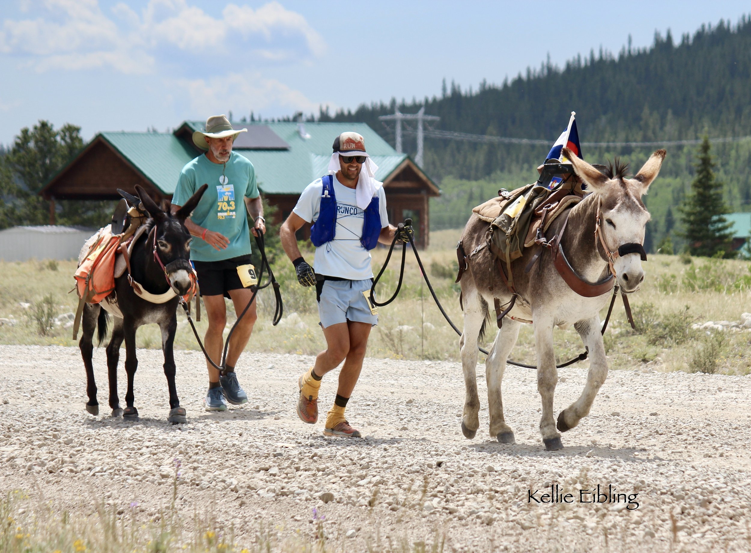 Burro Rodeo Burro Race Schedule — Western Pack Burro Ass-ociation