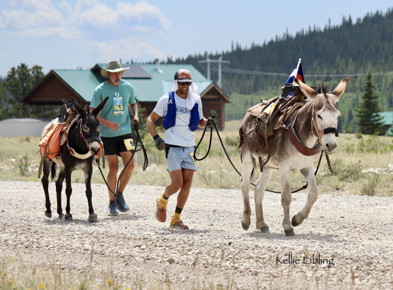 Burro Race Schedule — Western Pack Burro Ass-ociation