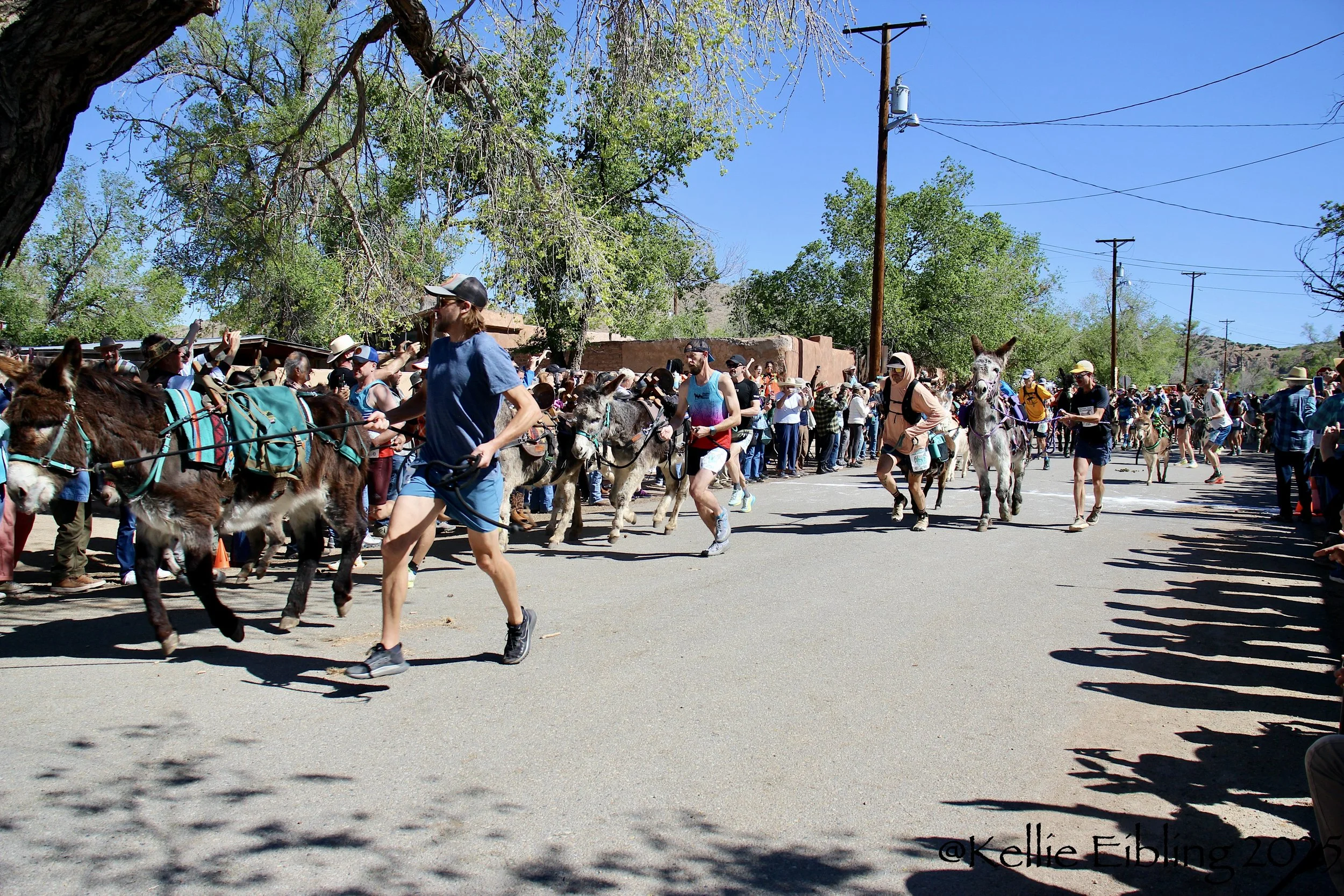 Turquoise Trail