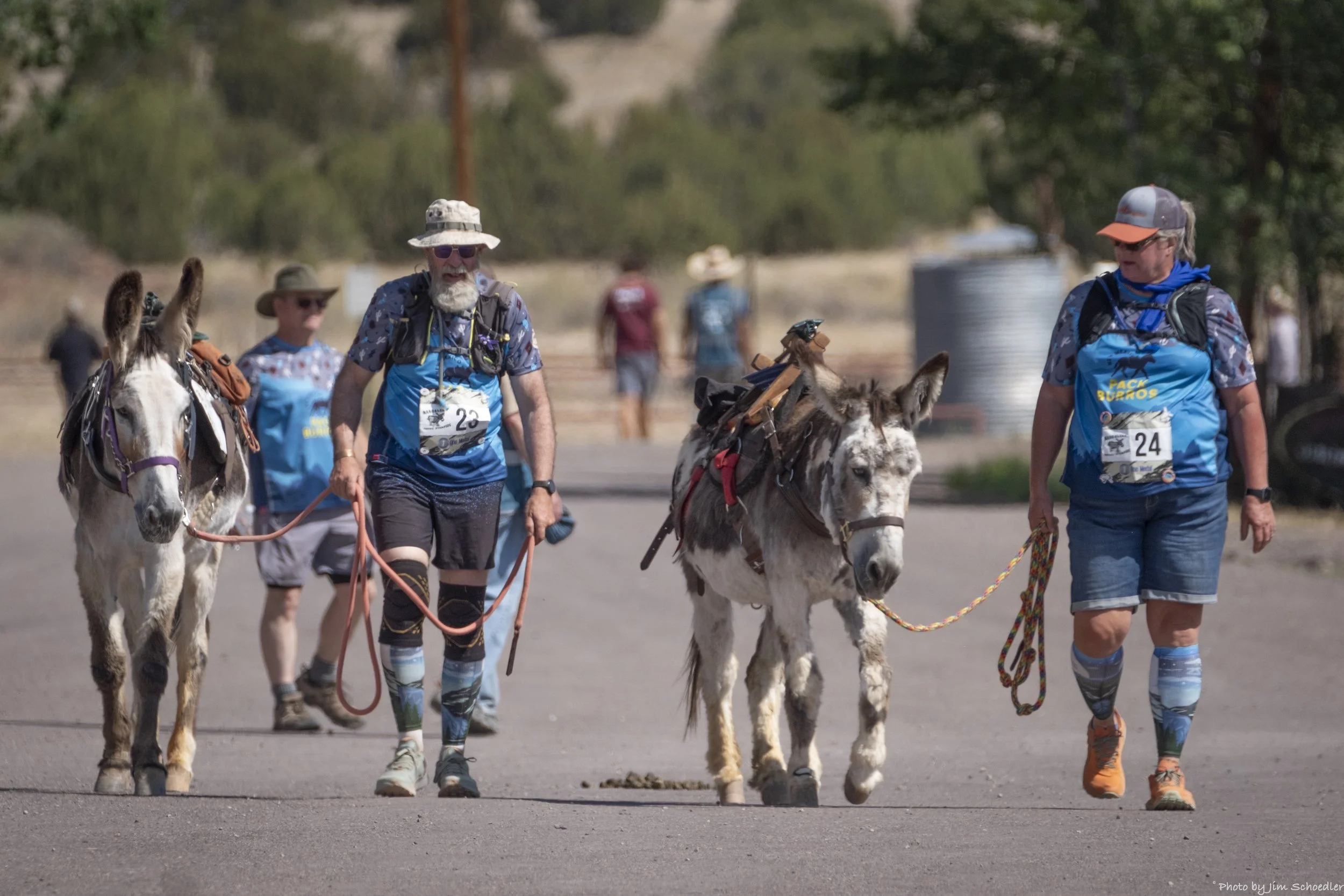 Magdalena Burro Stampede