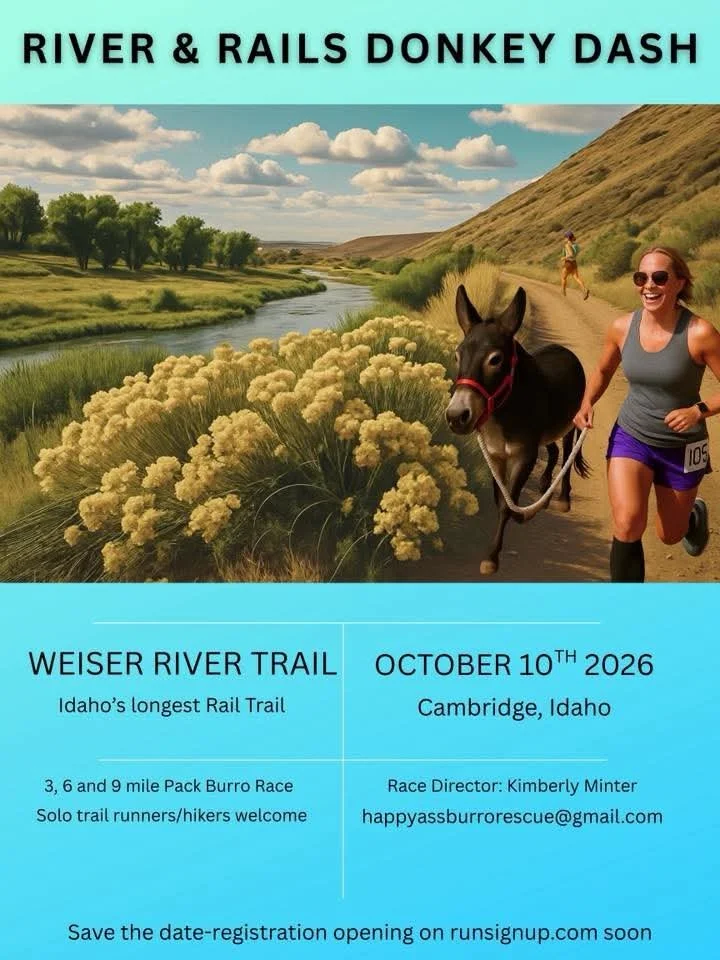 River and Rails Donkey Dash