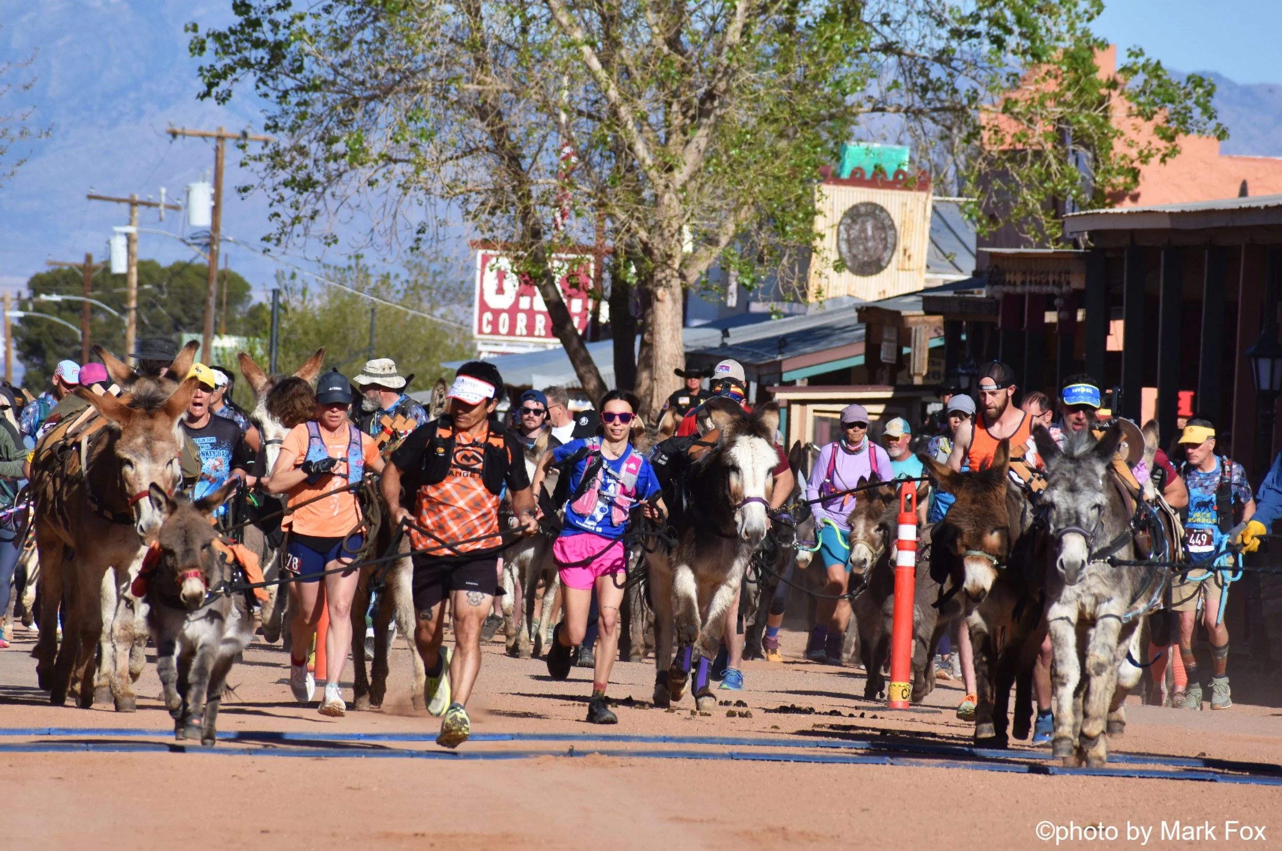 Tombstone Desert Donkey Dash