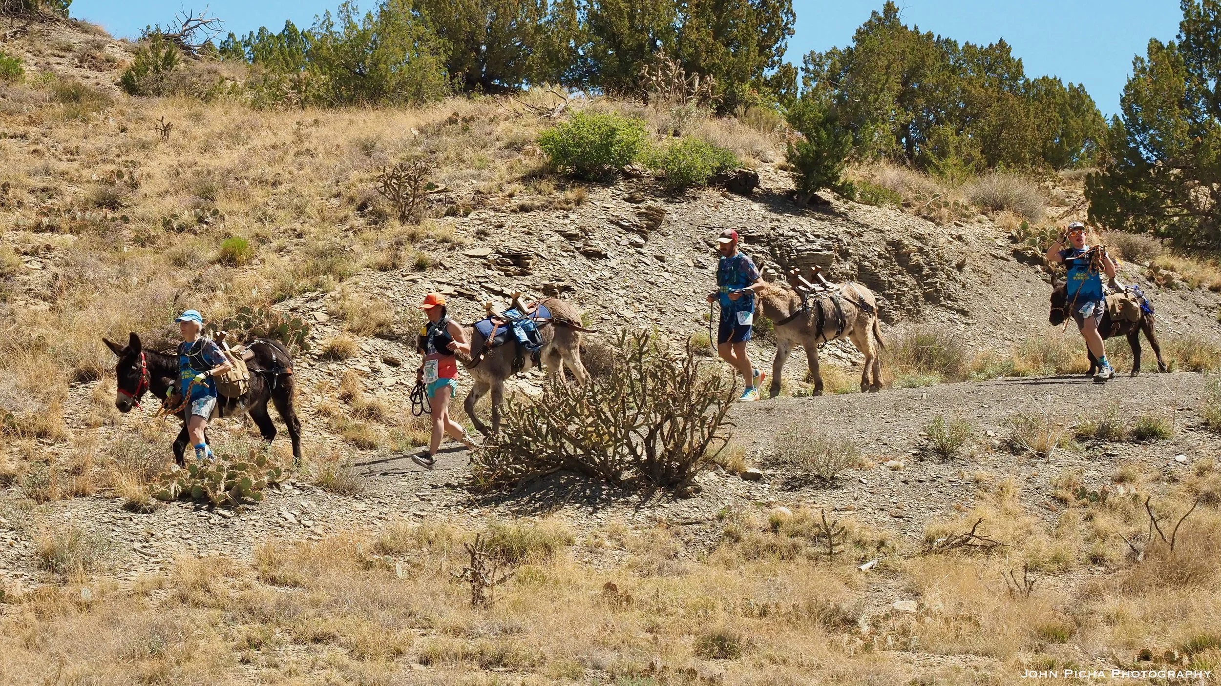 Sierra Blanca Pack Burro Race