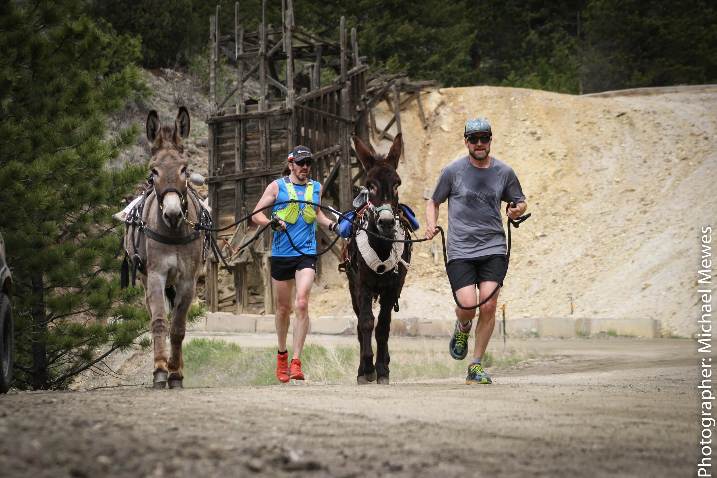Idaho Springs Pack Burro race