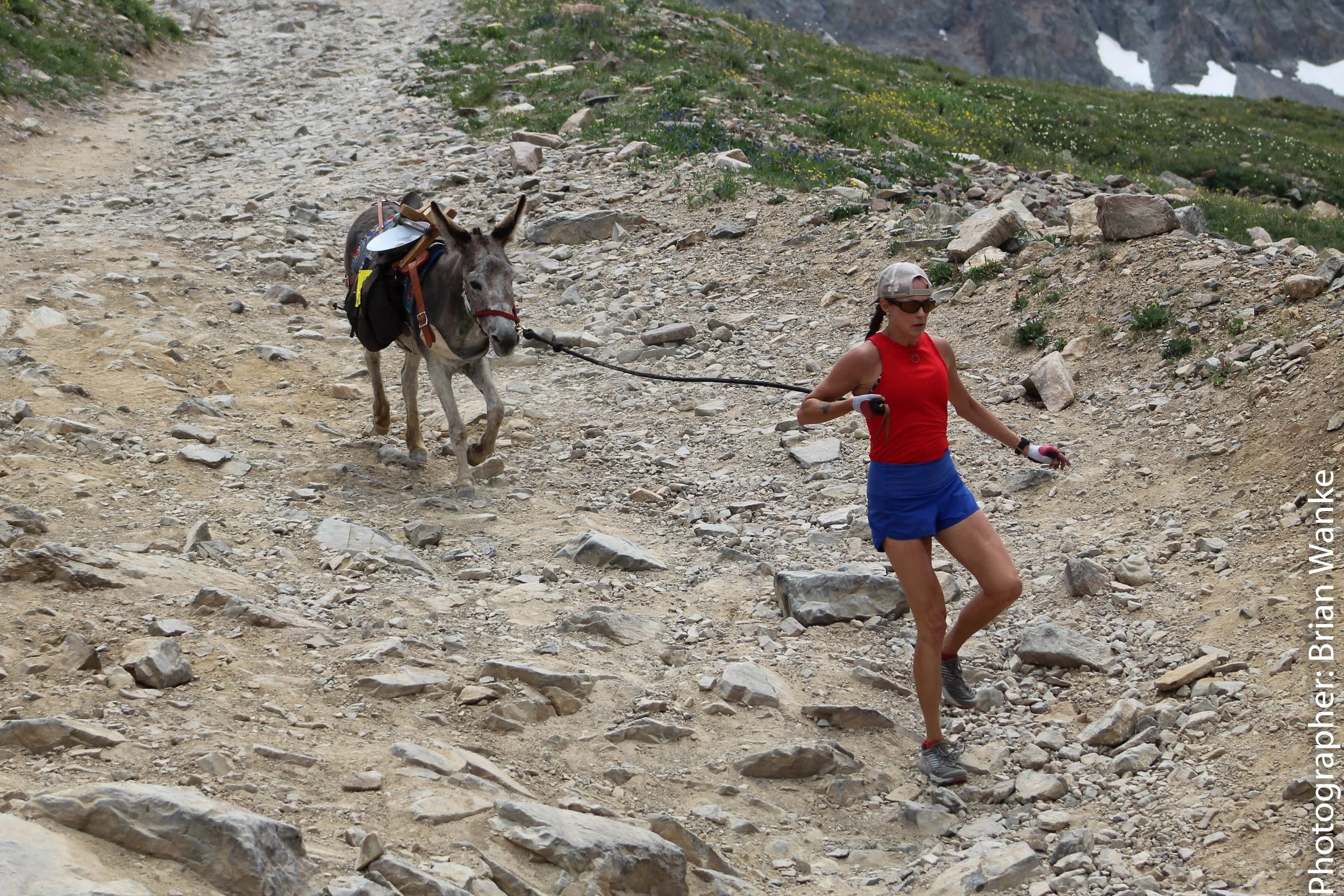 Leadville Boom Days Pack Burro Race