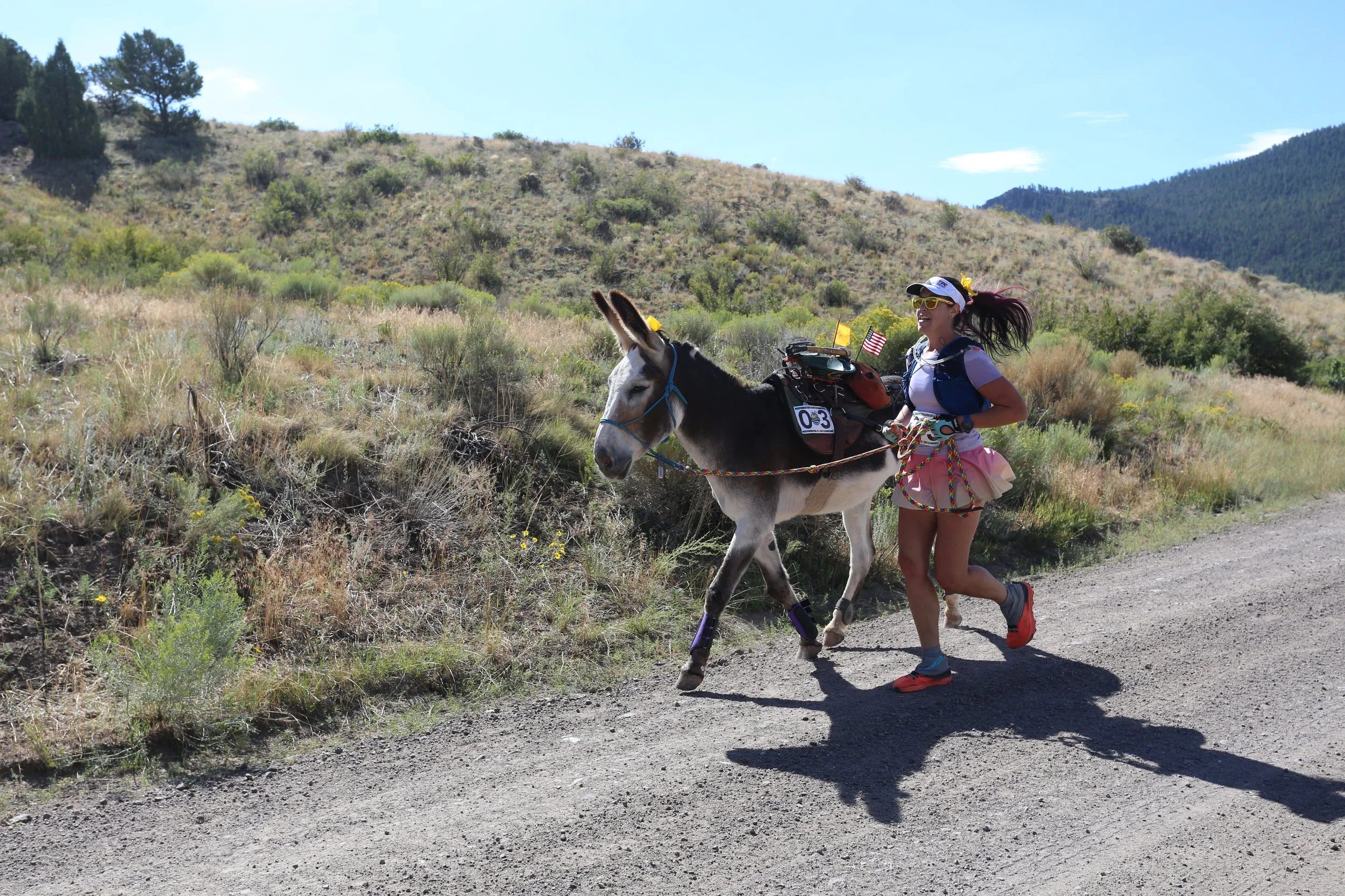 South Fork "Alder Ass" Pack Burro Race
