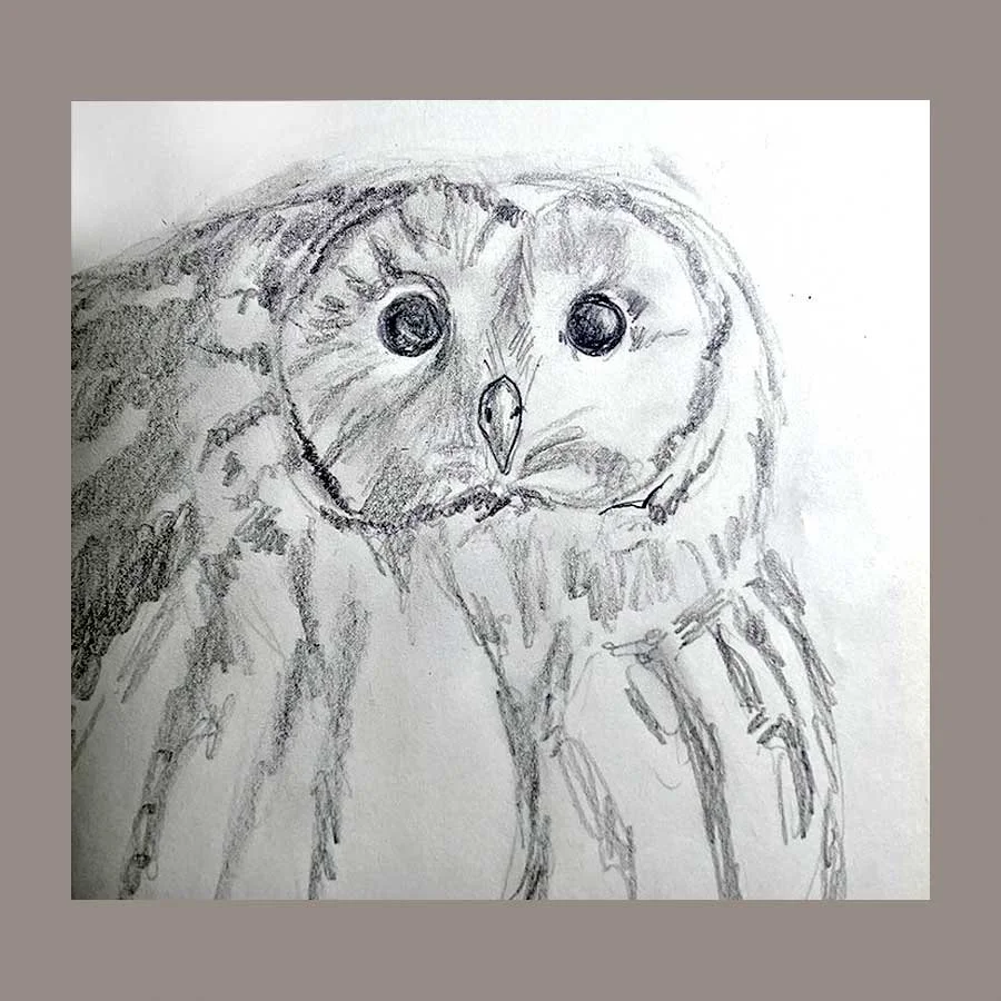 Sketch_OwlBarred.jpg