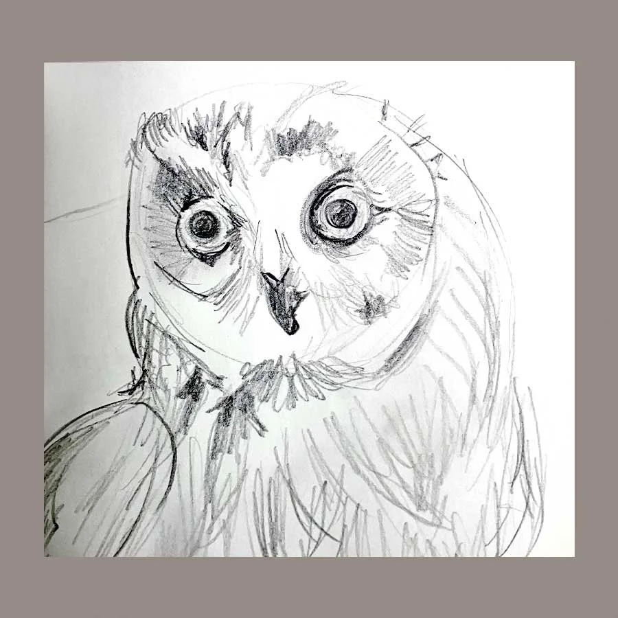 Sketch_Owl_GHorned.jpg