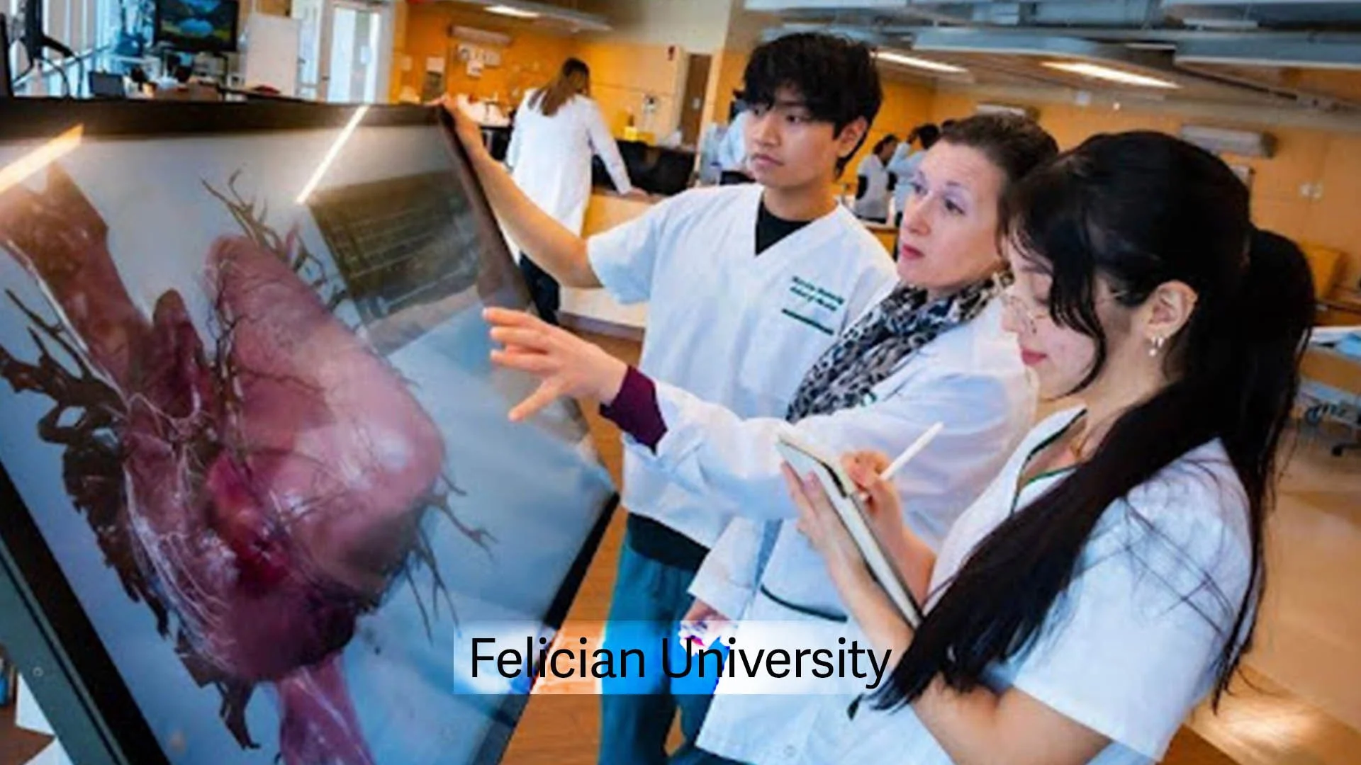 Felician home carousel.jpg