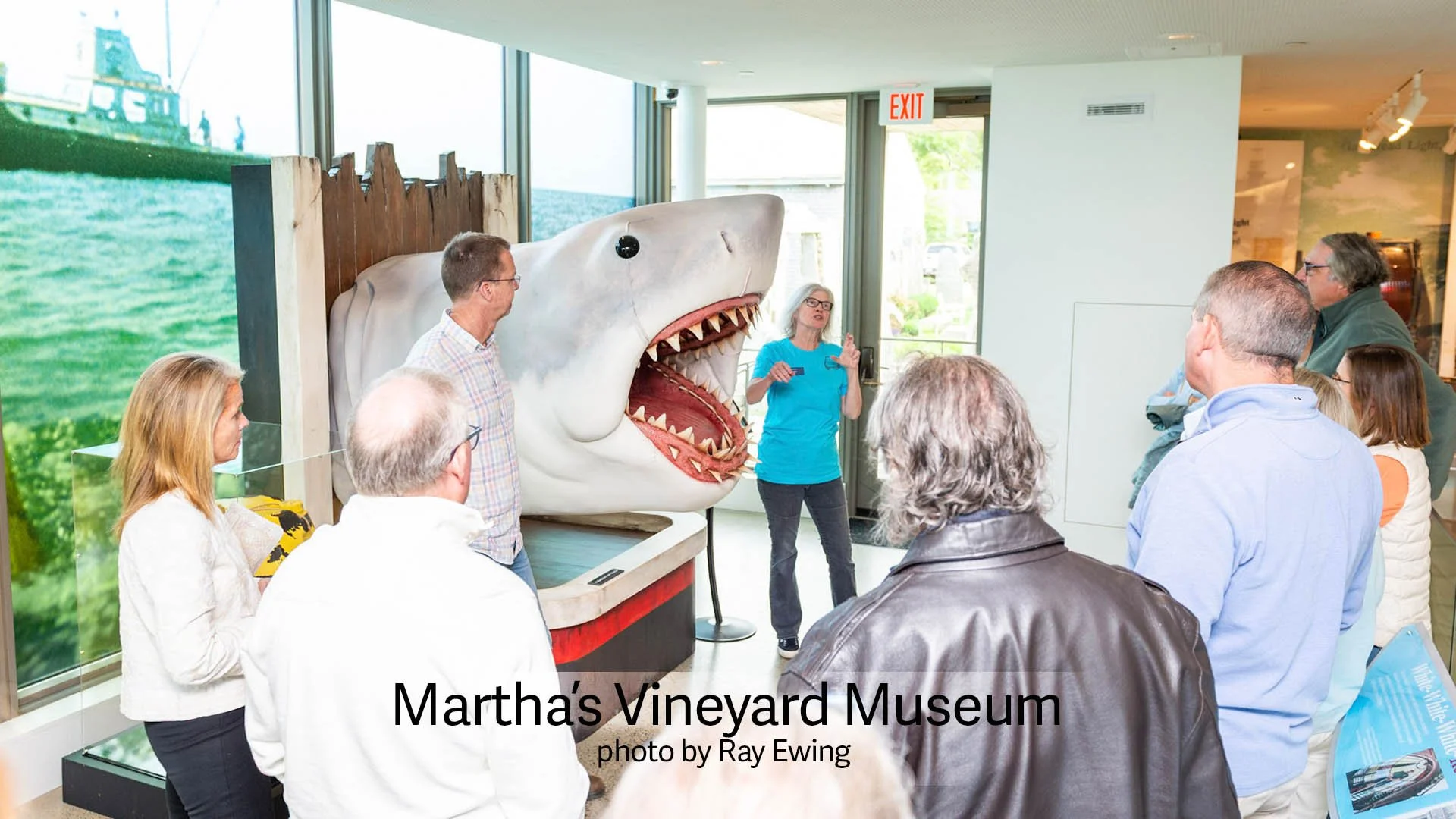 MVM Home carousel.jpg