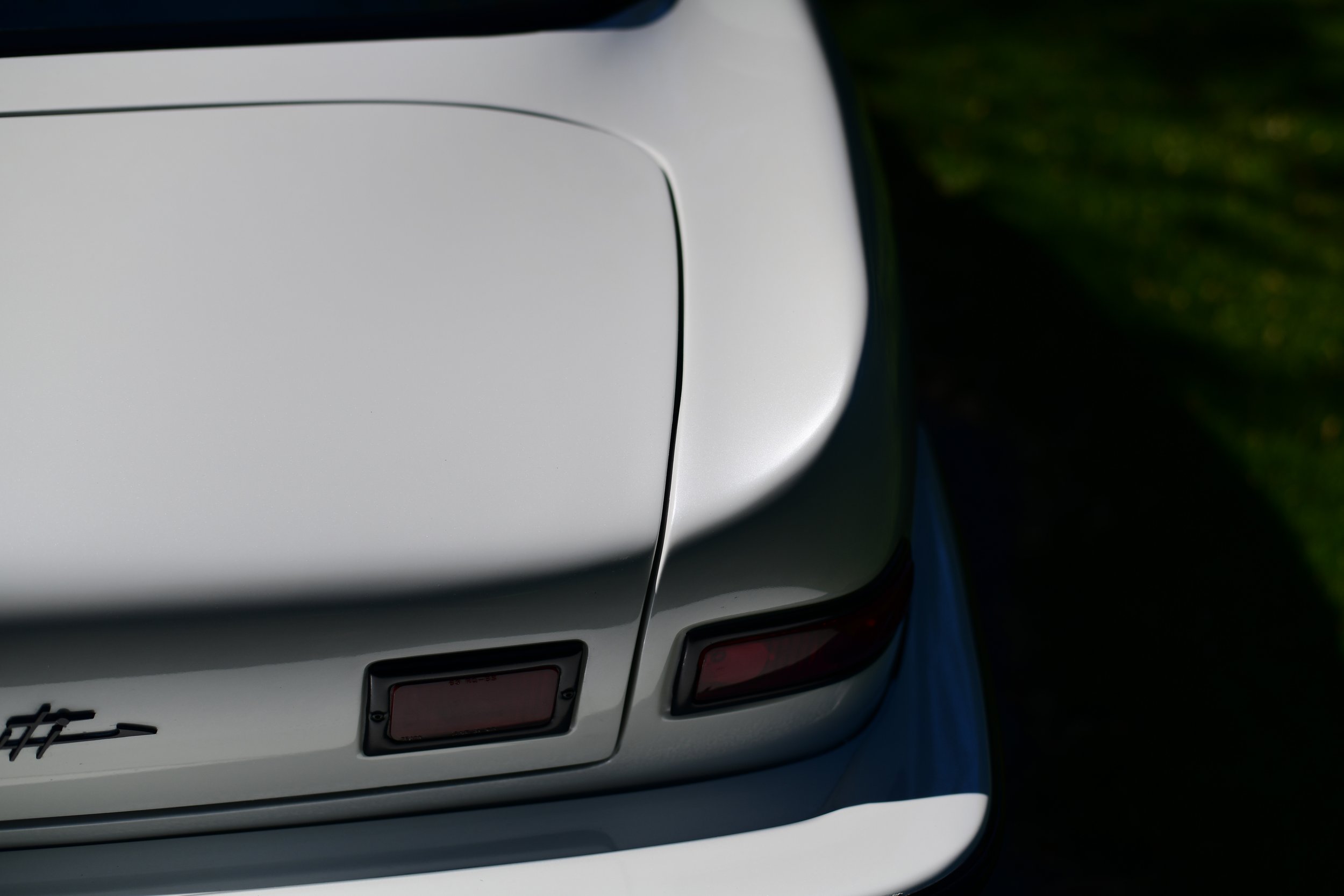 Avanti Trunk Shot Medium.jpg