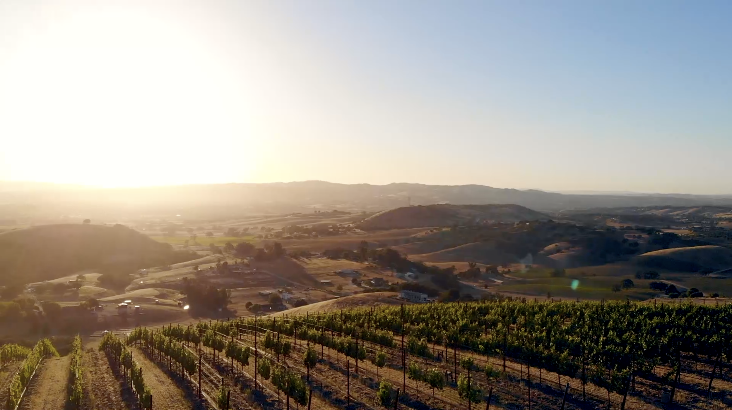 Caelesta Wines, Vineyard, and Truffiere  Paso Robles - Templeton Gap District, Paso Robles winery and vineyard