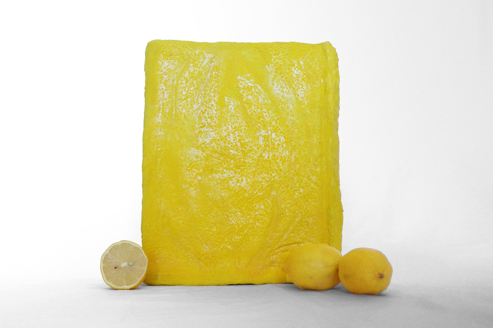 Vide+Olsson_Lemon+Book_Back+Cover+-+2.jpg