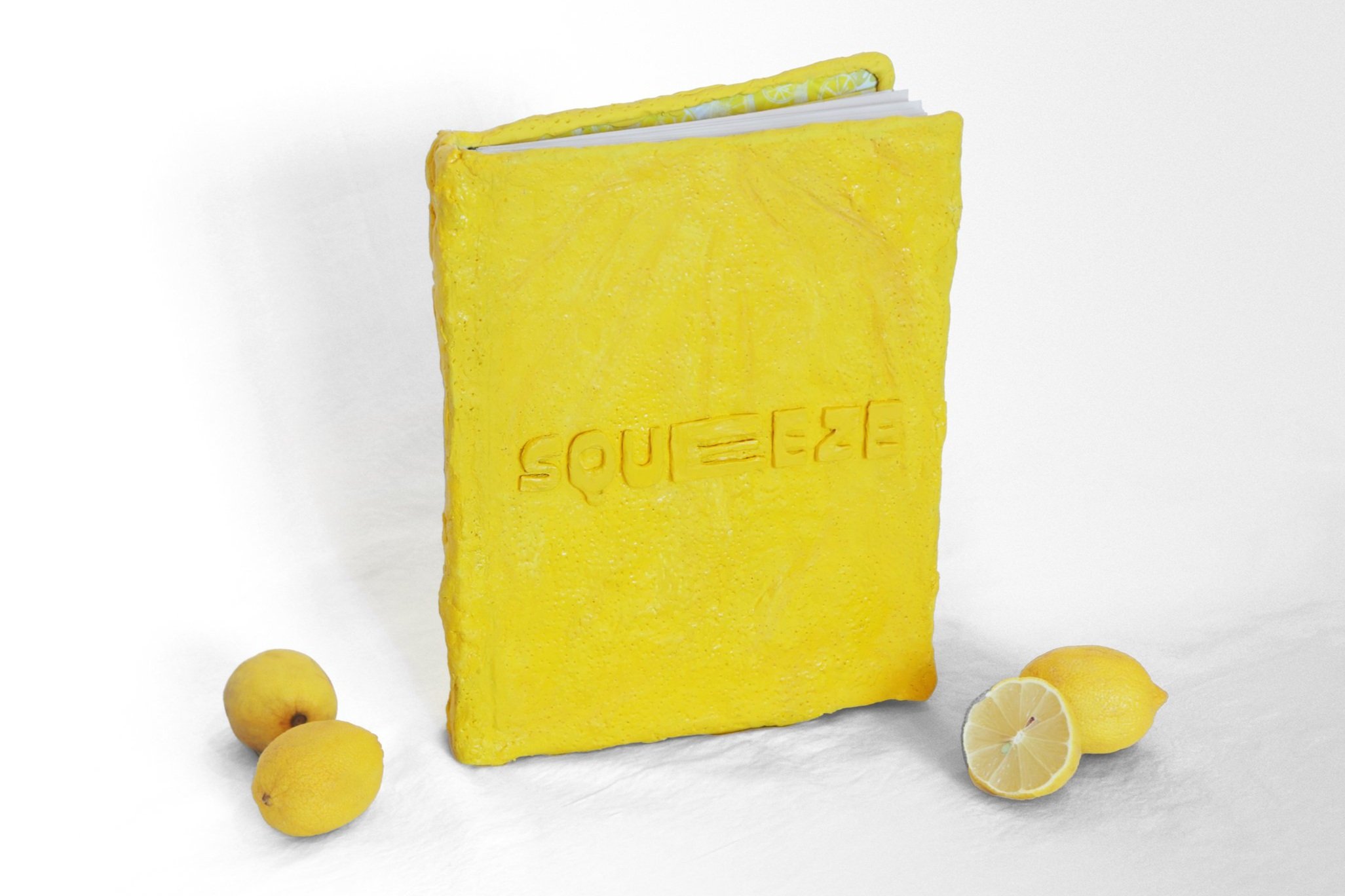 Vide+Olsson_Lemon+Book_Cover+2_2.jpg