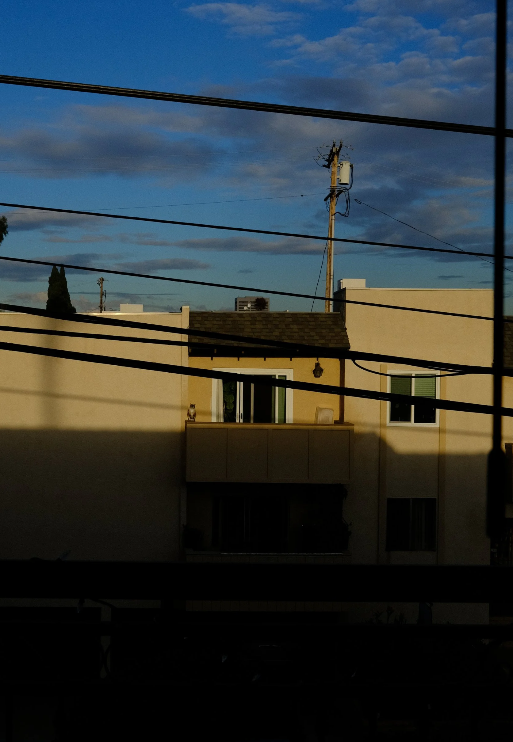 DSCF4249.png